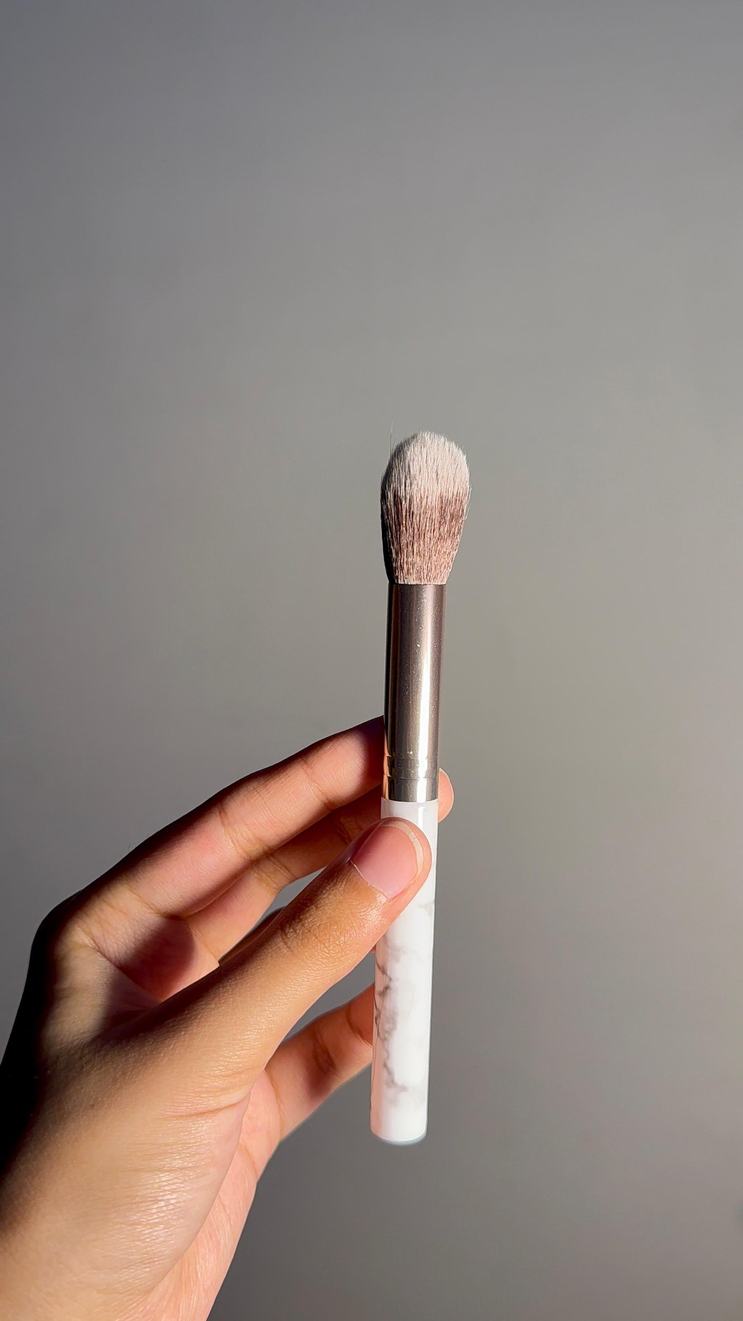 Single Brush