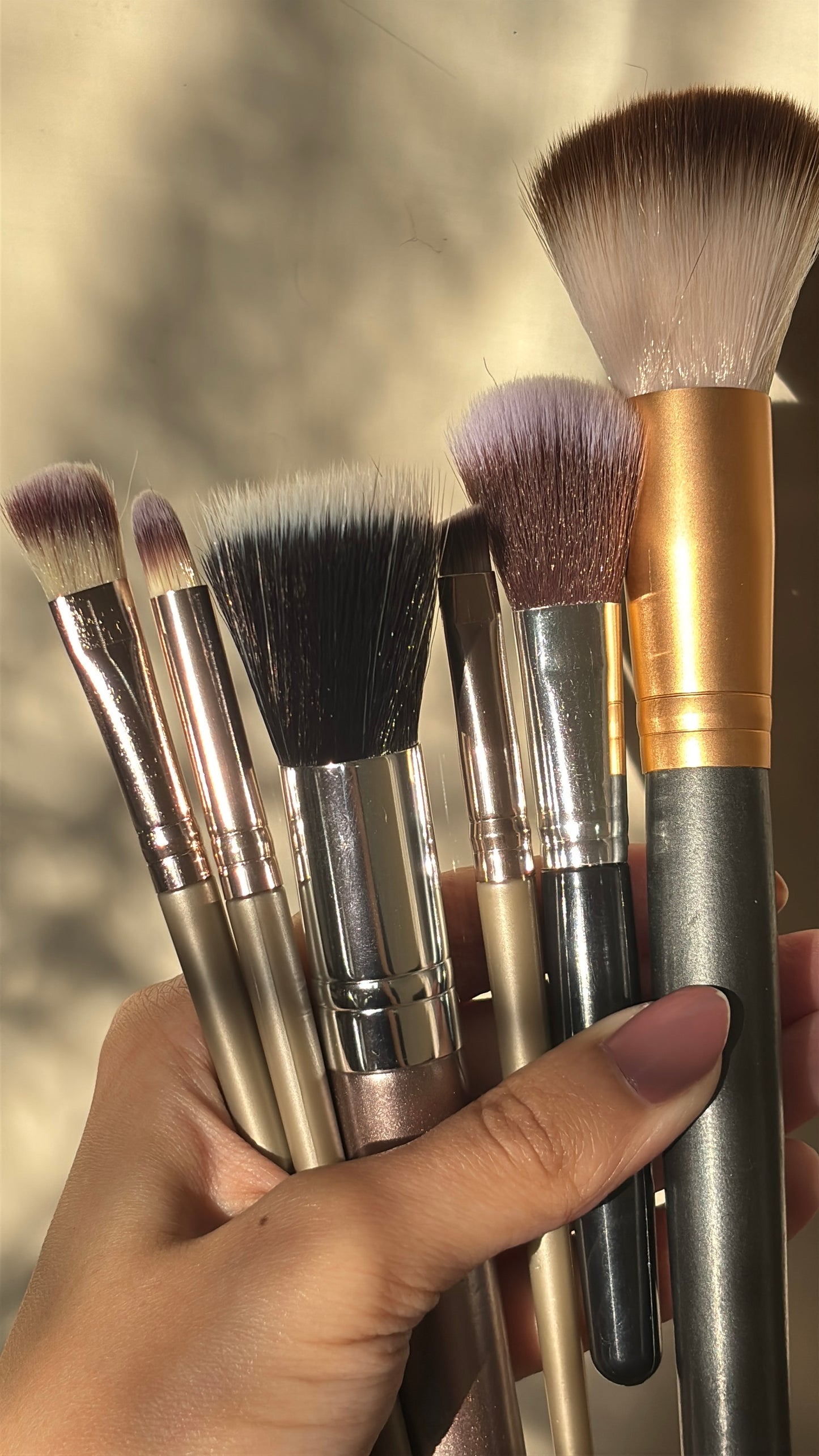 Set of 6 Brushes