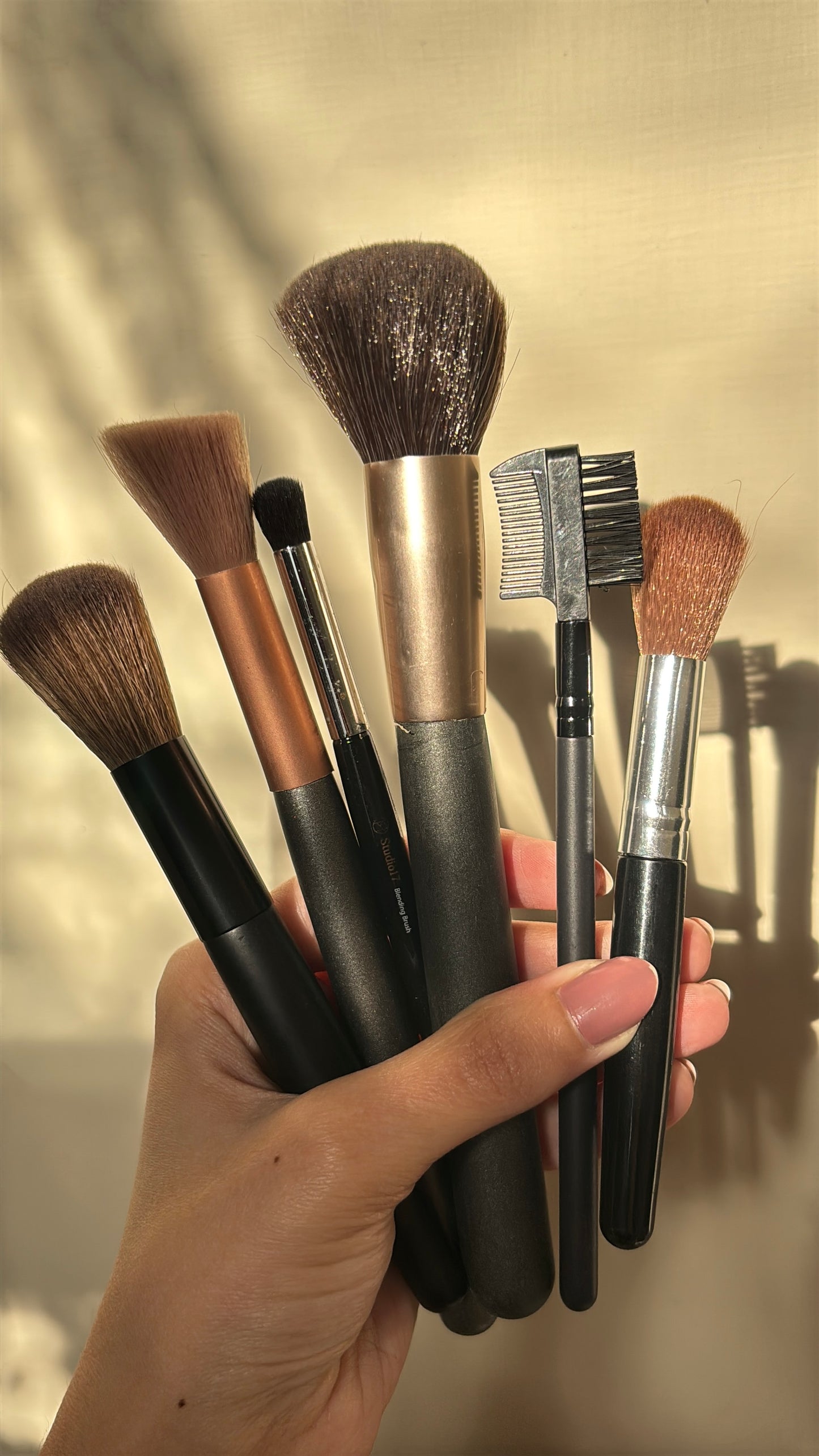 Set of 6 Brushes
