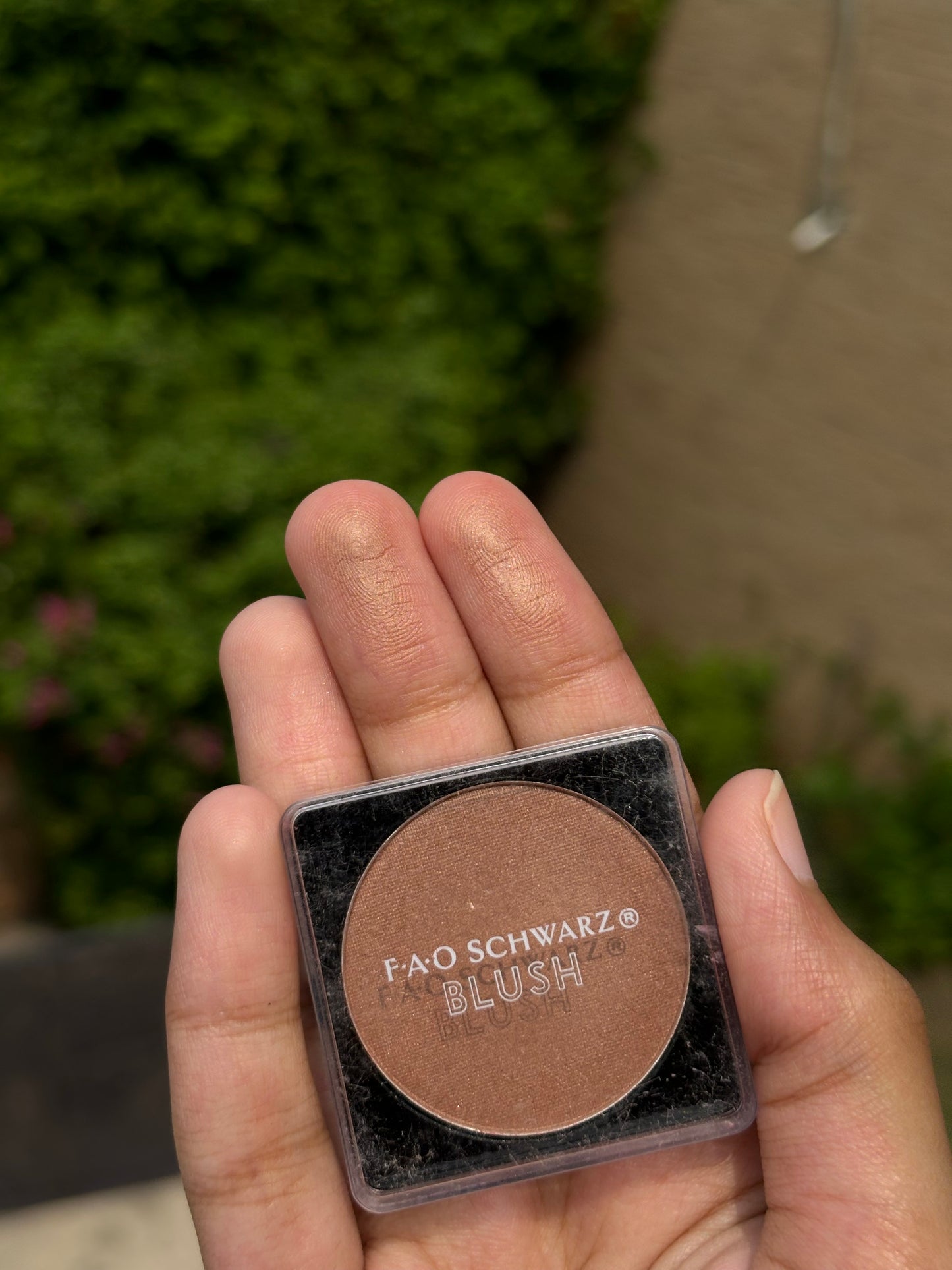 Matte Blush