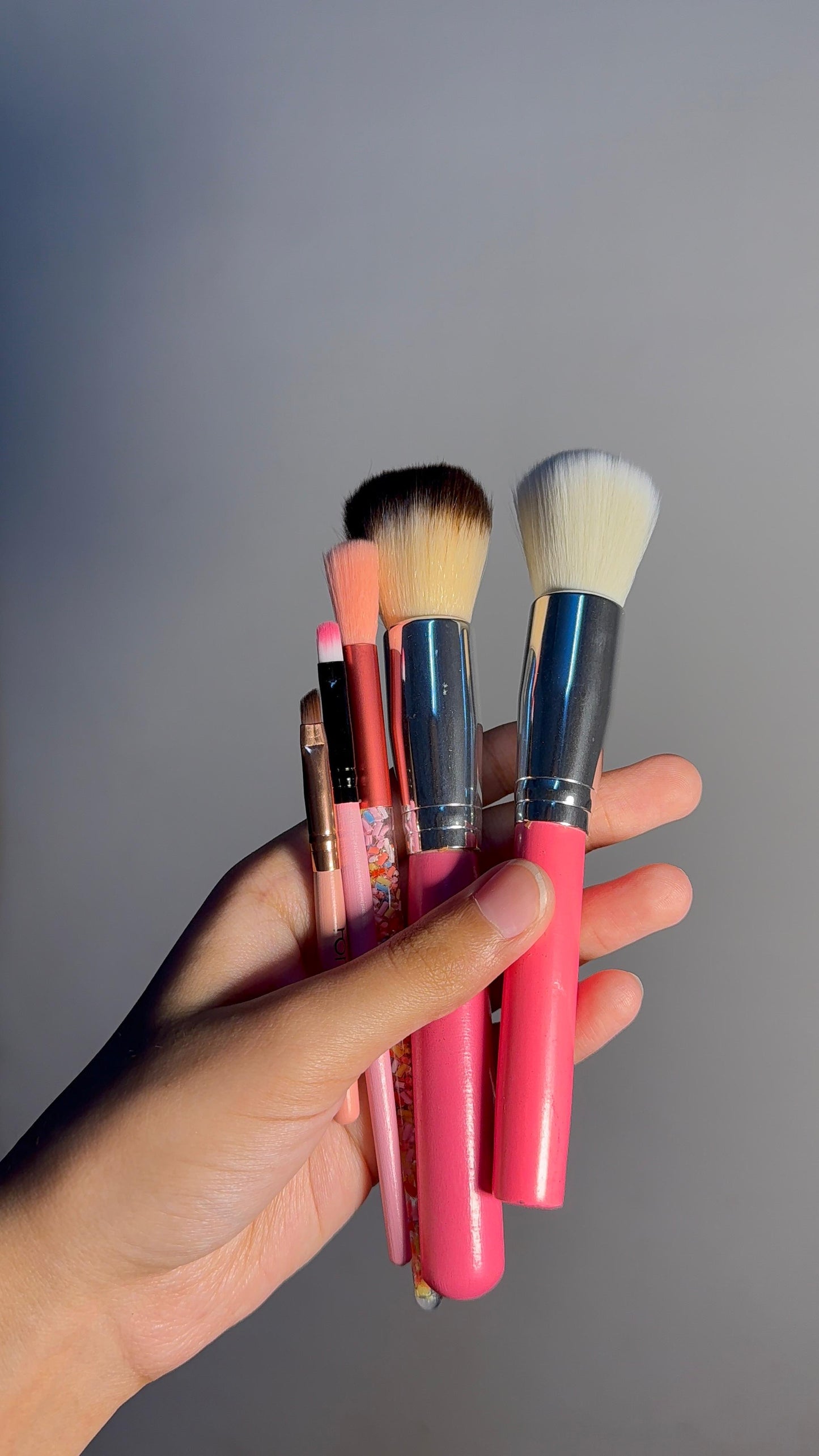Set of 5 Brushes