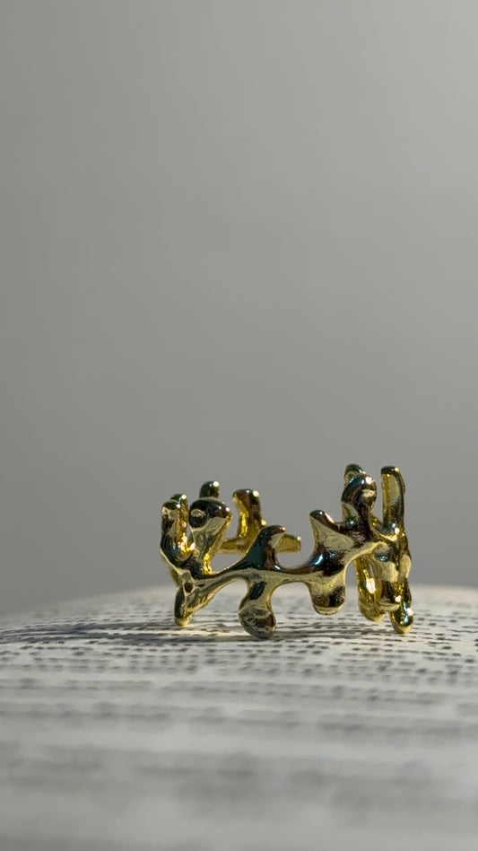 Reeef Ring