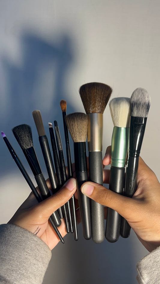 Set of 10 Brushes