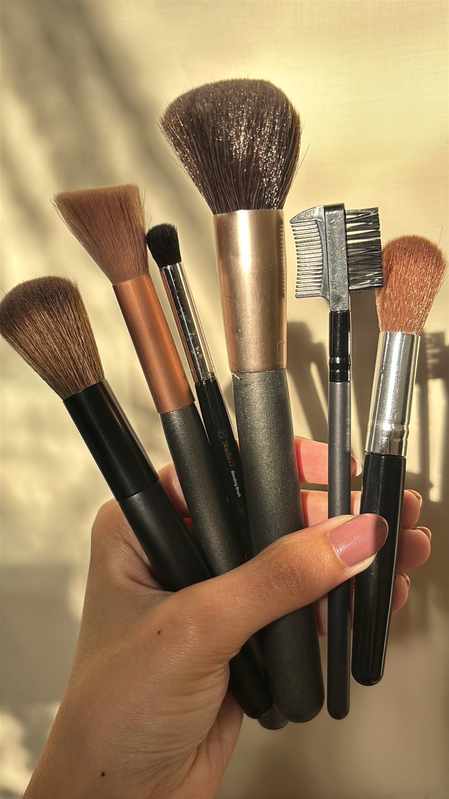 Set of 6 Brushes
