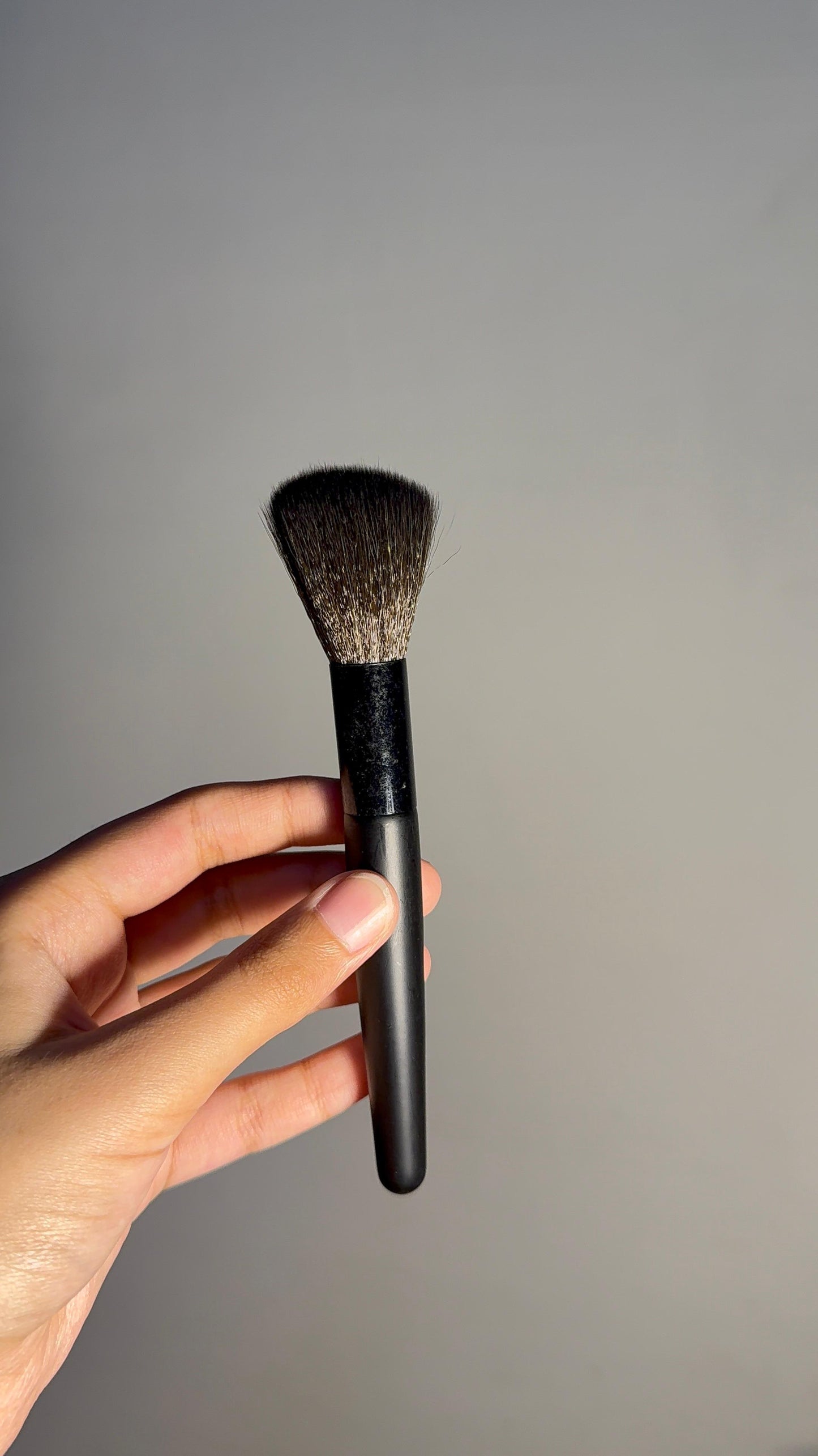 Single Brush