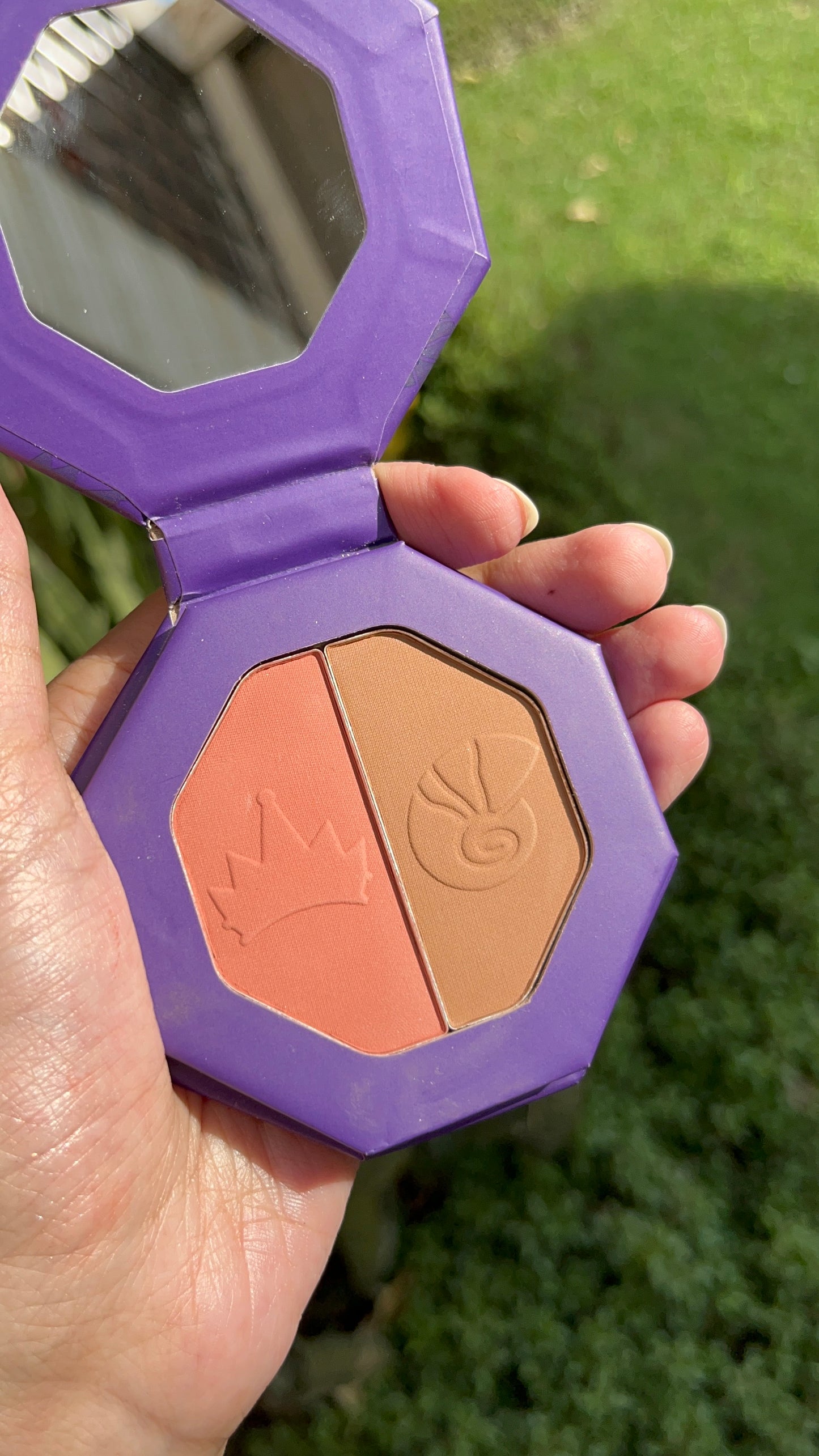 Blush and Contour Palette