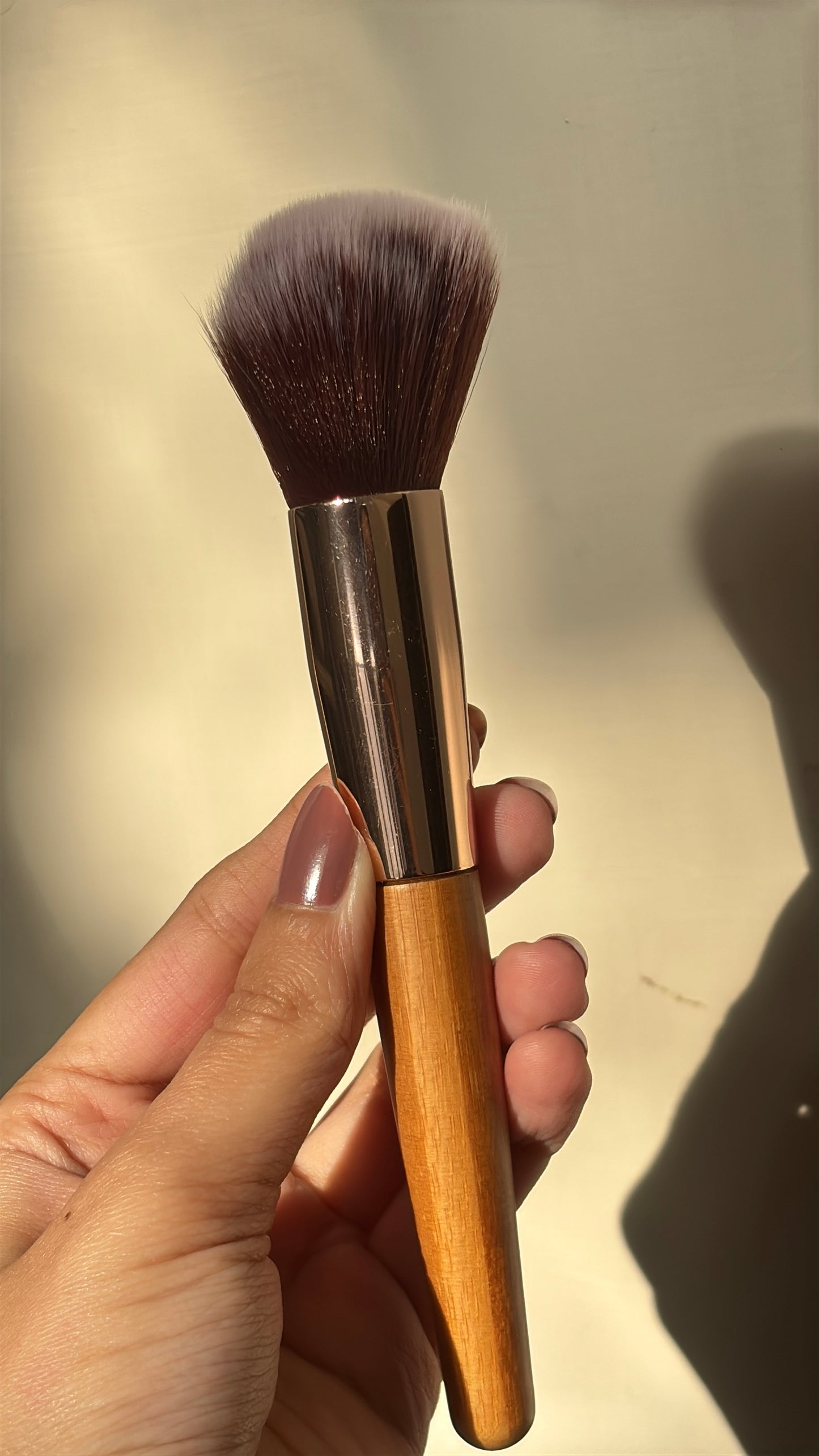 Set of 6 Brushes