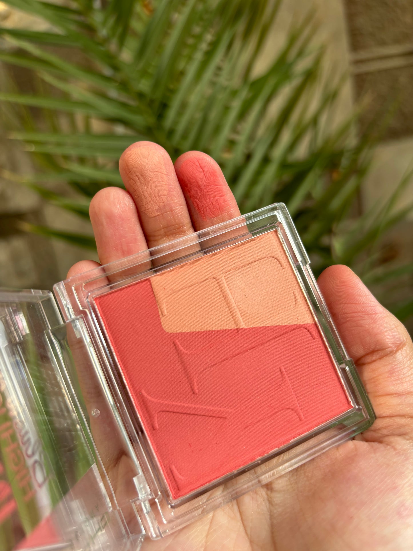 Blush Palette