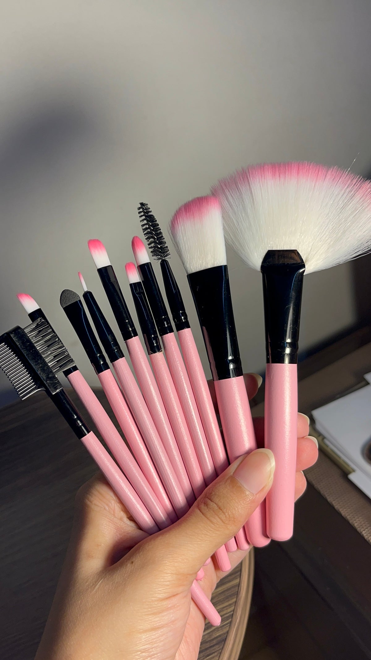 Set of 10 Brushes
