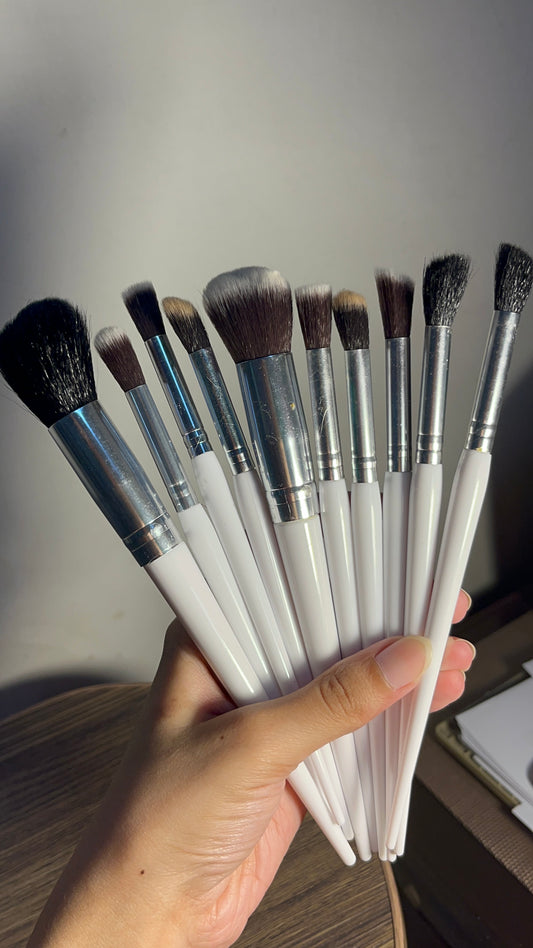 Set of 10 Brushes