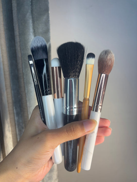 Set of 6 Brushes