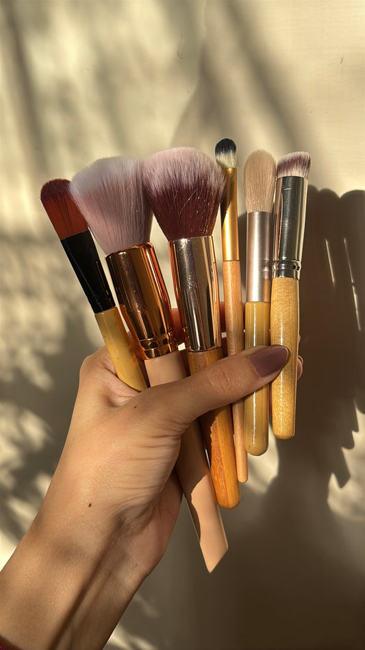 Set of 6 Brushes