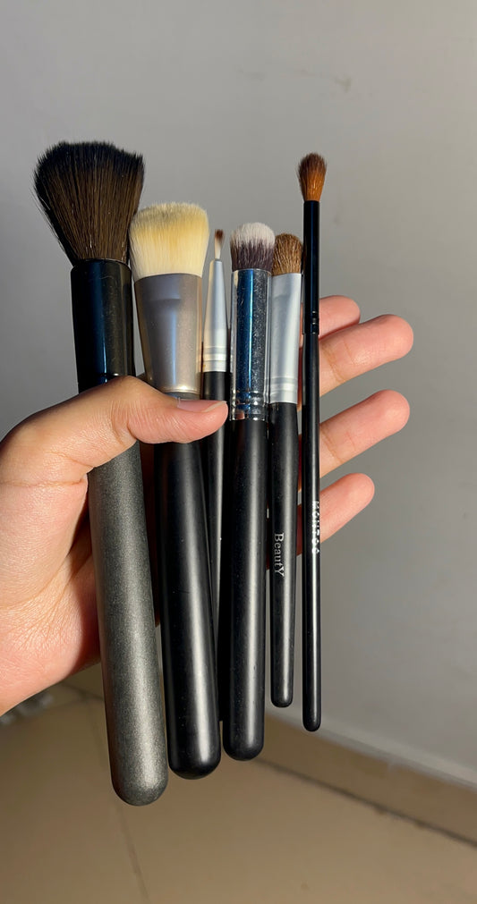 Set of 6 Brushes