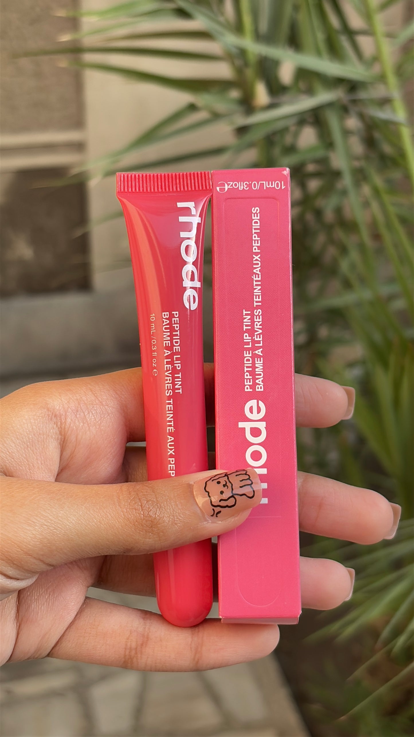 Peptides Liptint