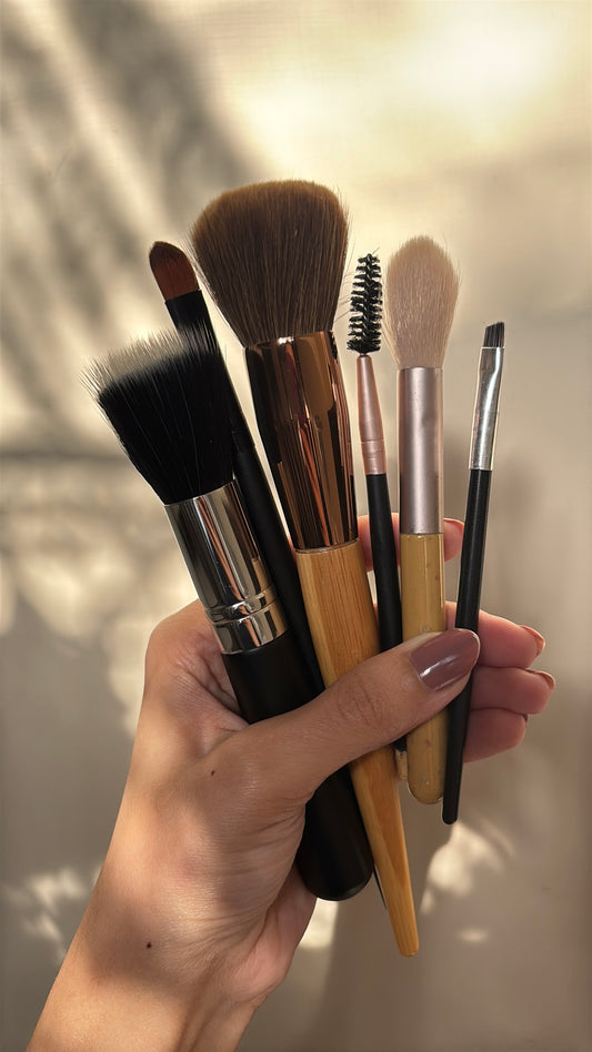 Set of 6 Brushes