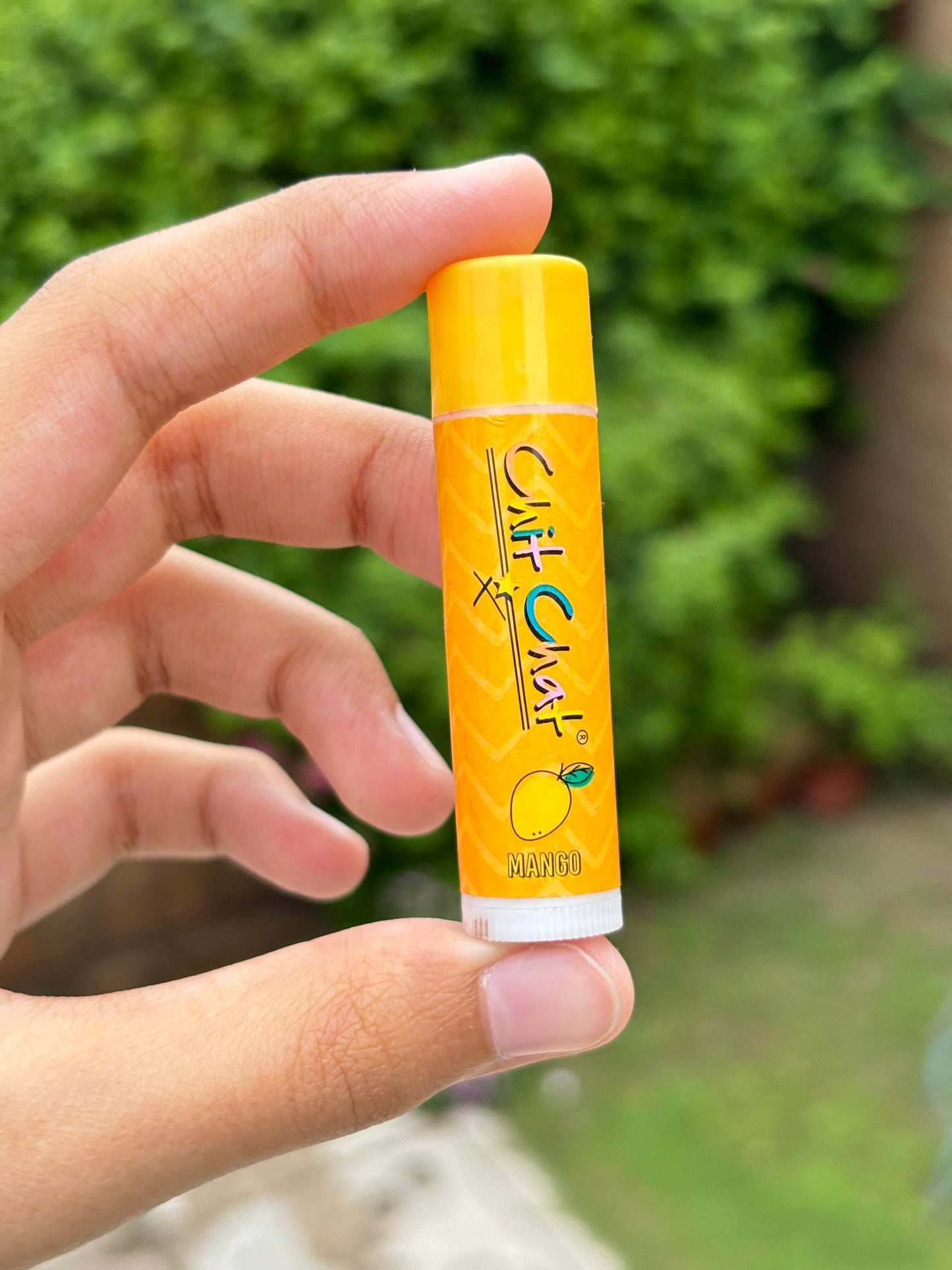 LipBalm
