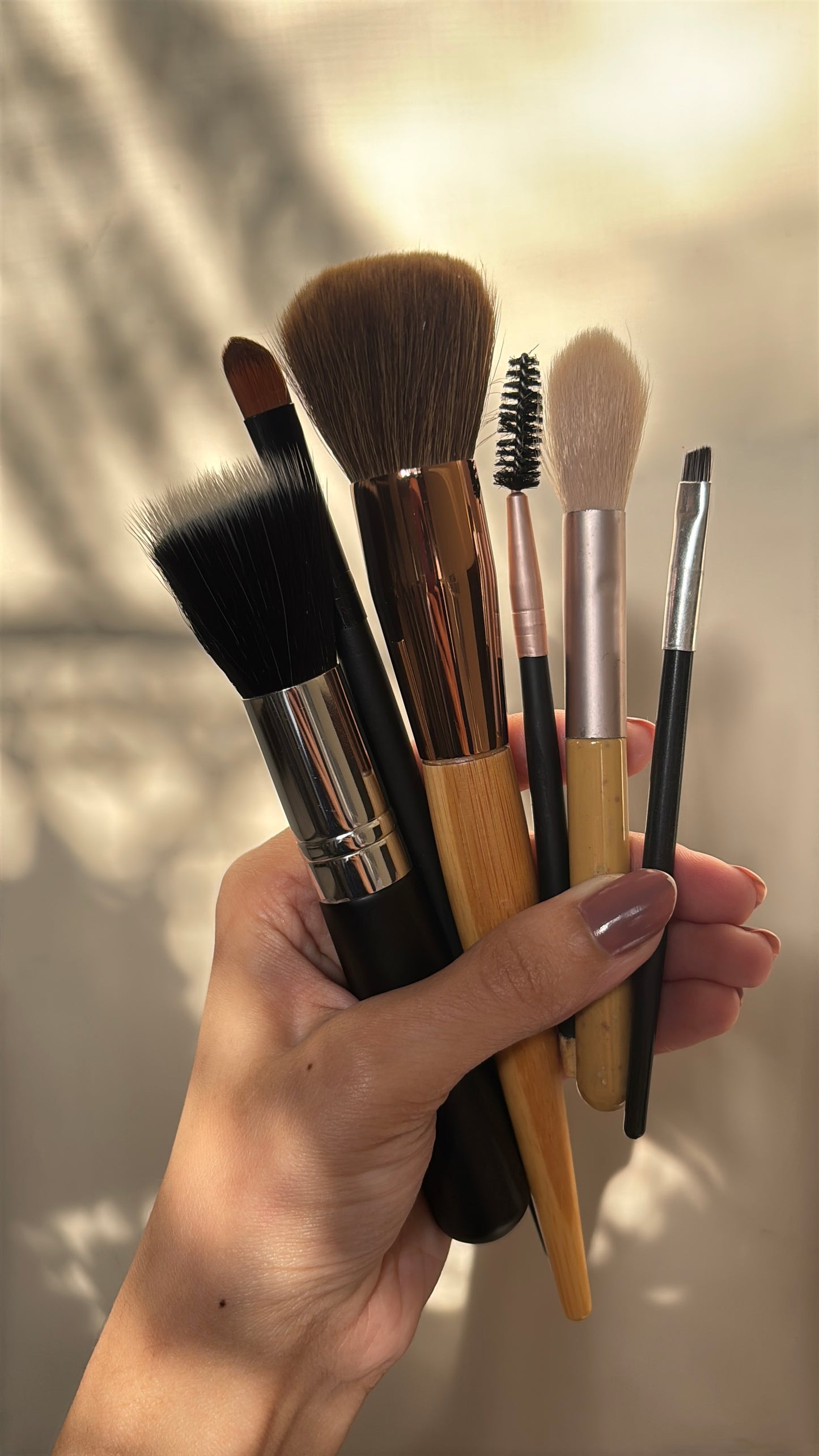 Set of 6 Brushes