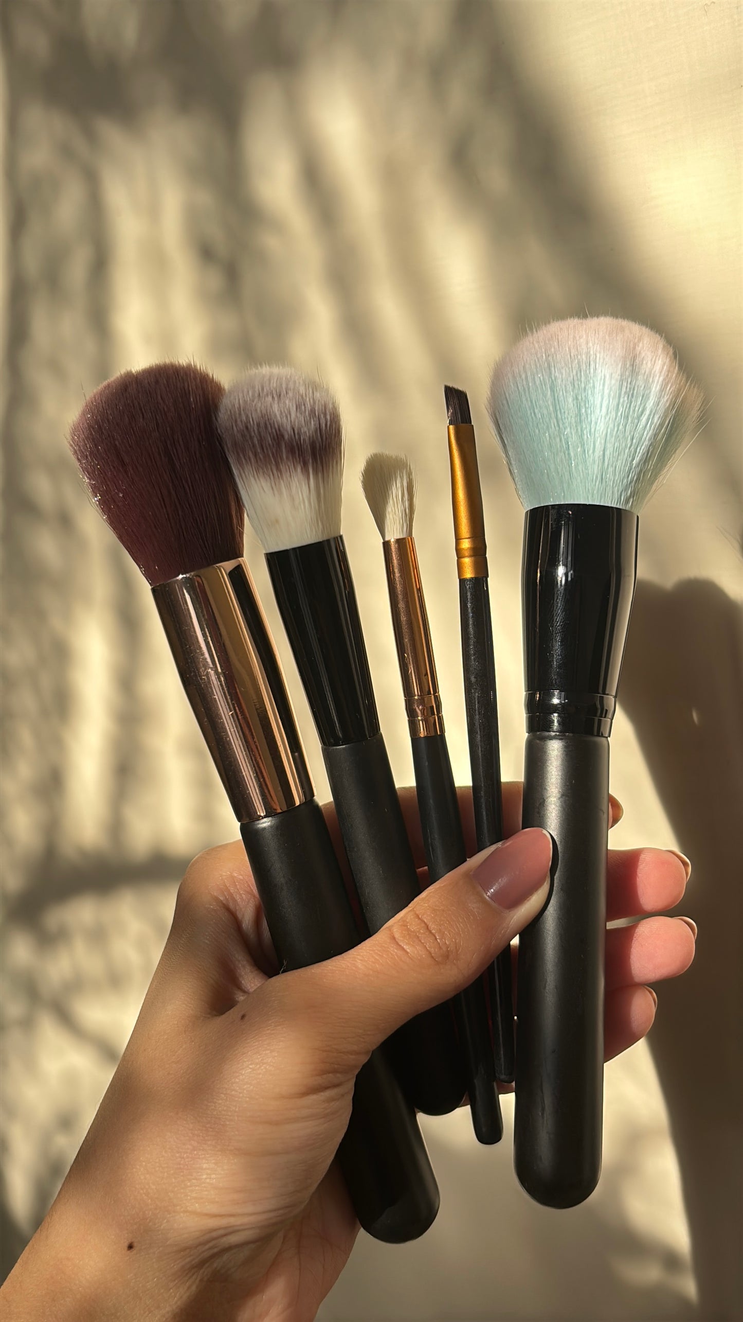Set of 5 Brushes