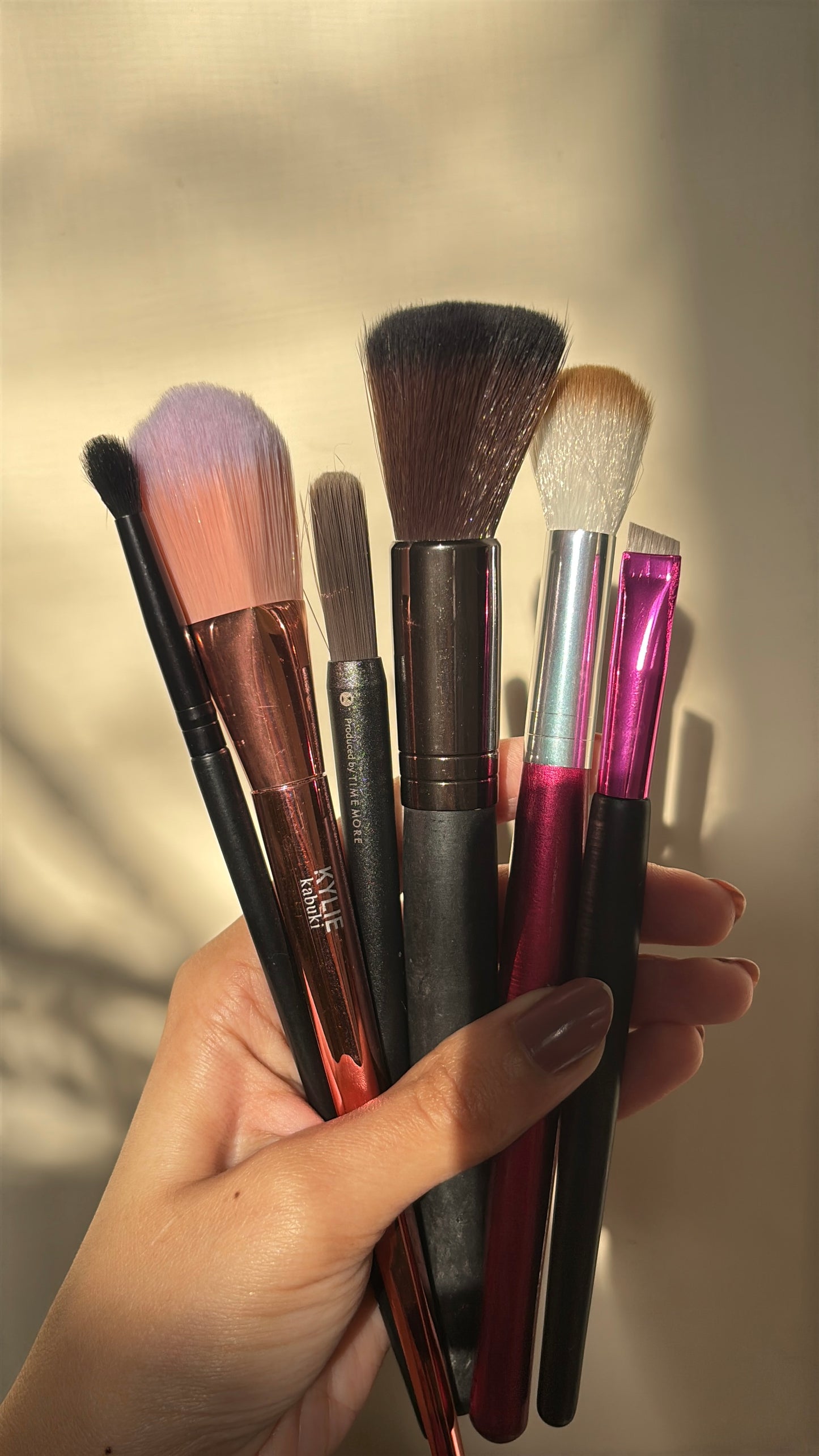 Set of 6 Brushes