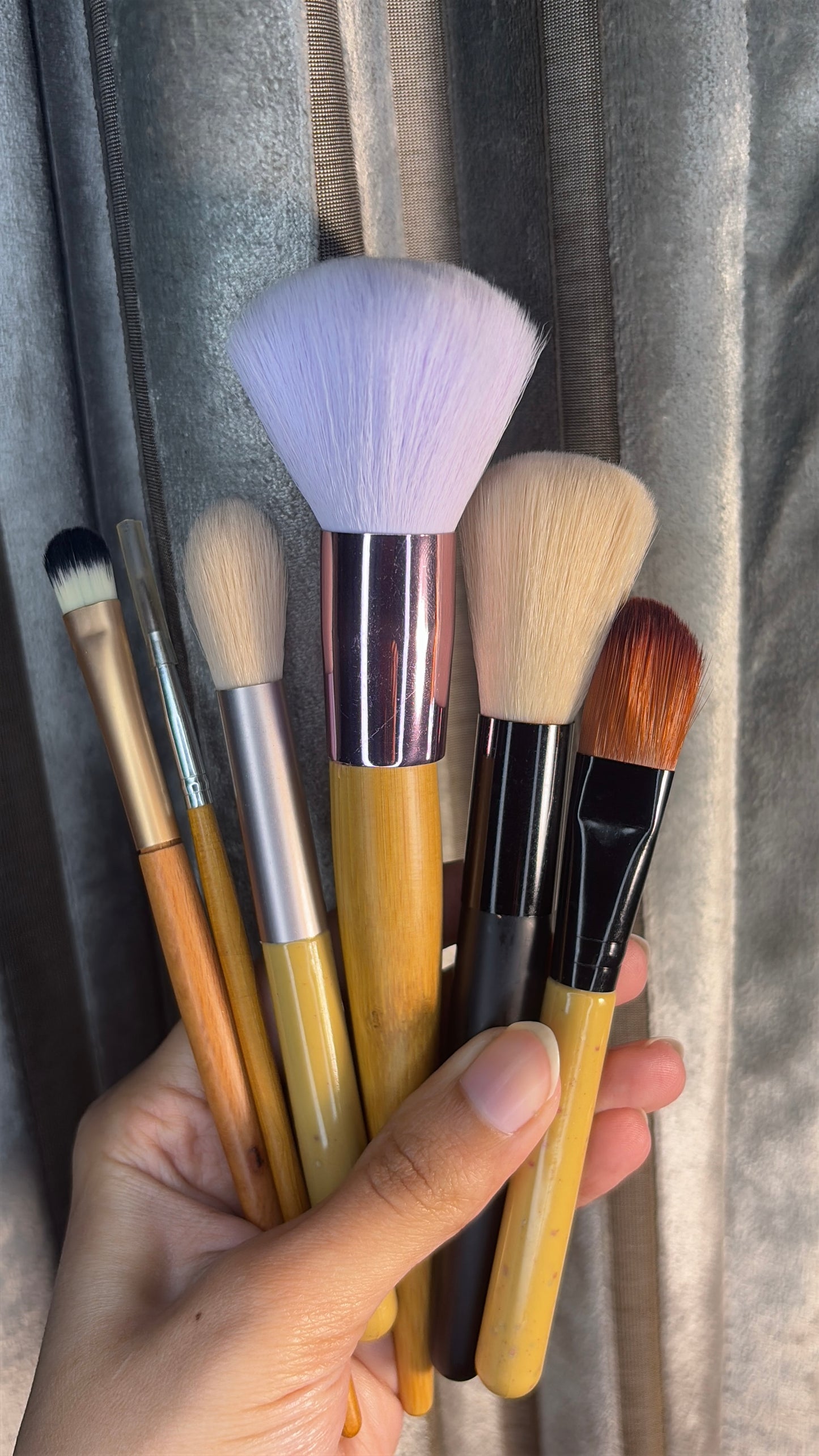 Set of 6 Brushes