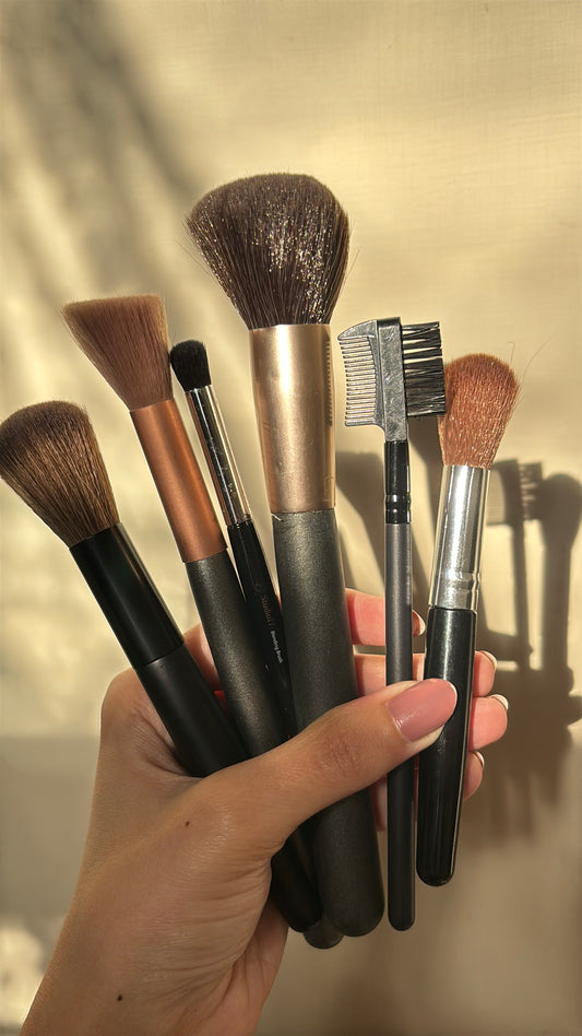 Set of 6 Brushes