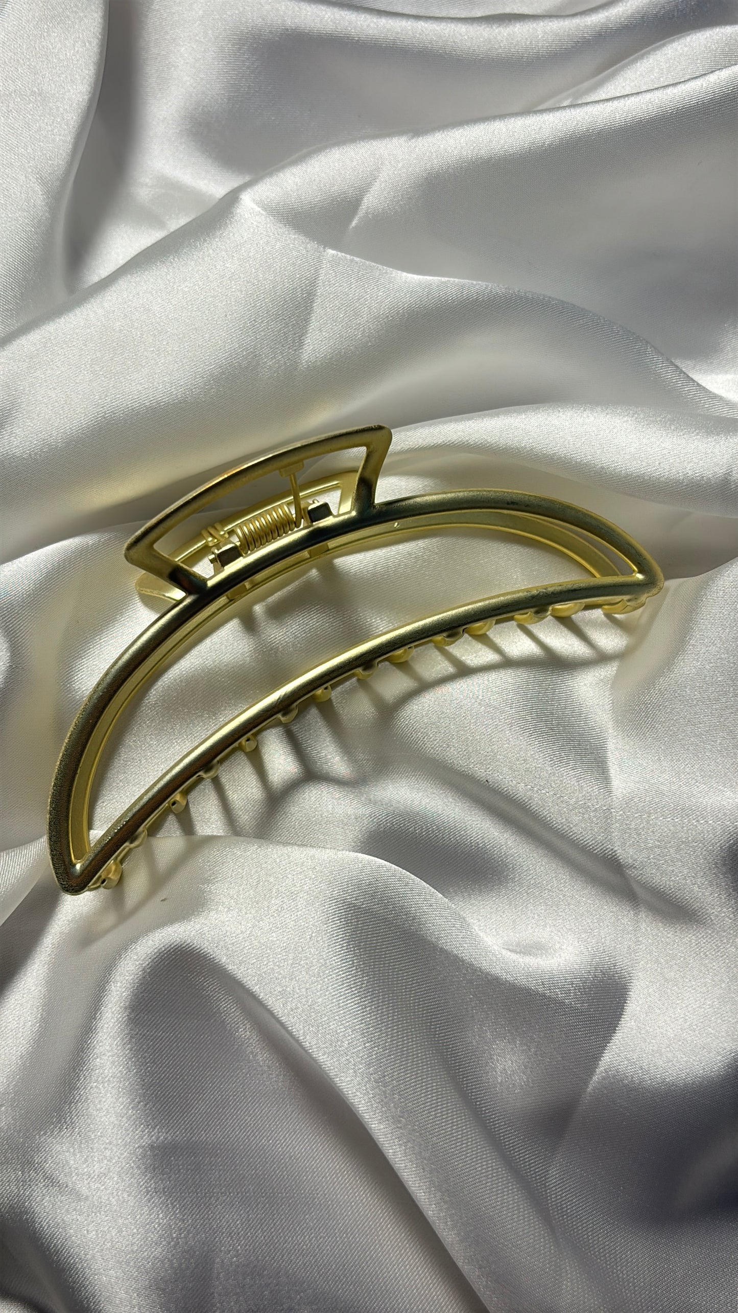Metal Claw clip
