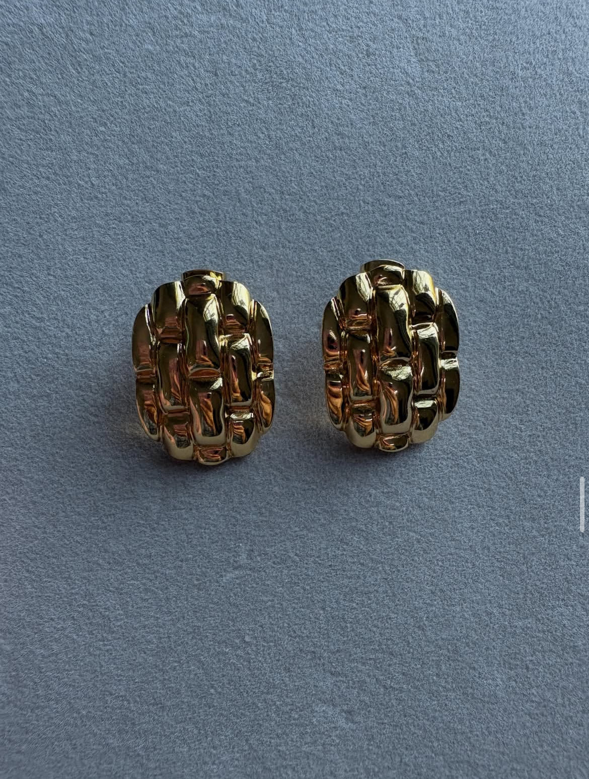 Big Mesh Gold Earrings