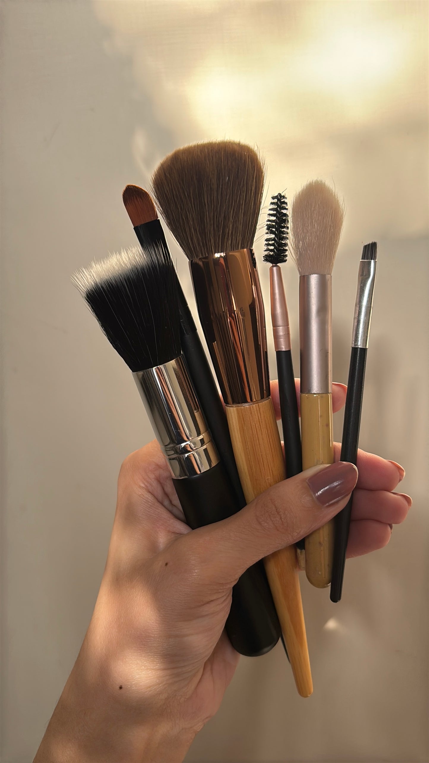 Set of 6 Brushes