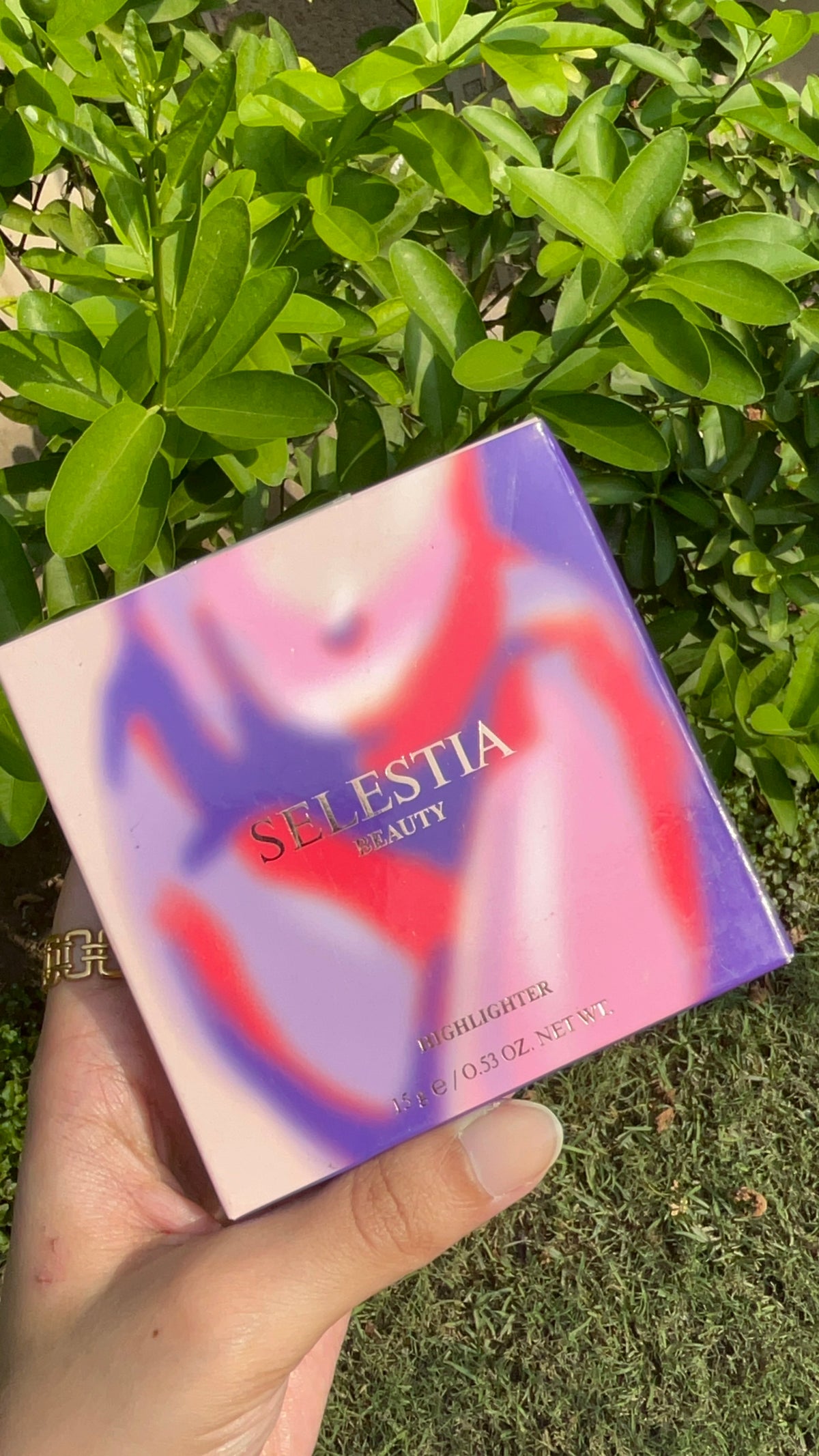 Salestiaa Highlighter