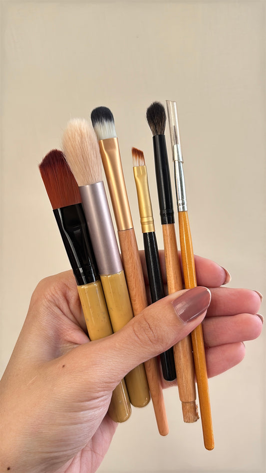 Set of 6 Brushes