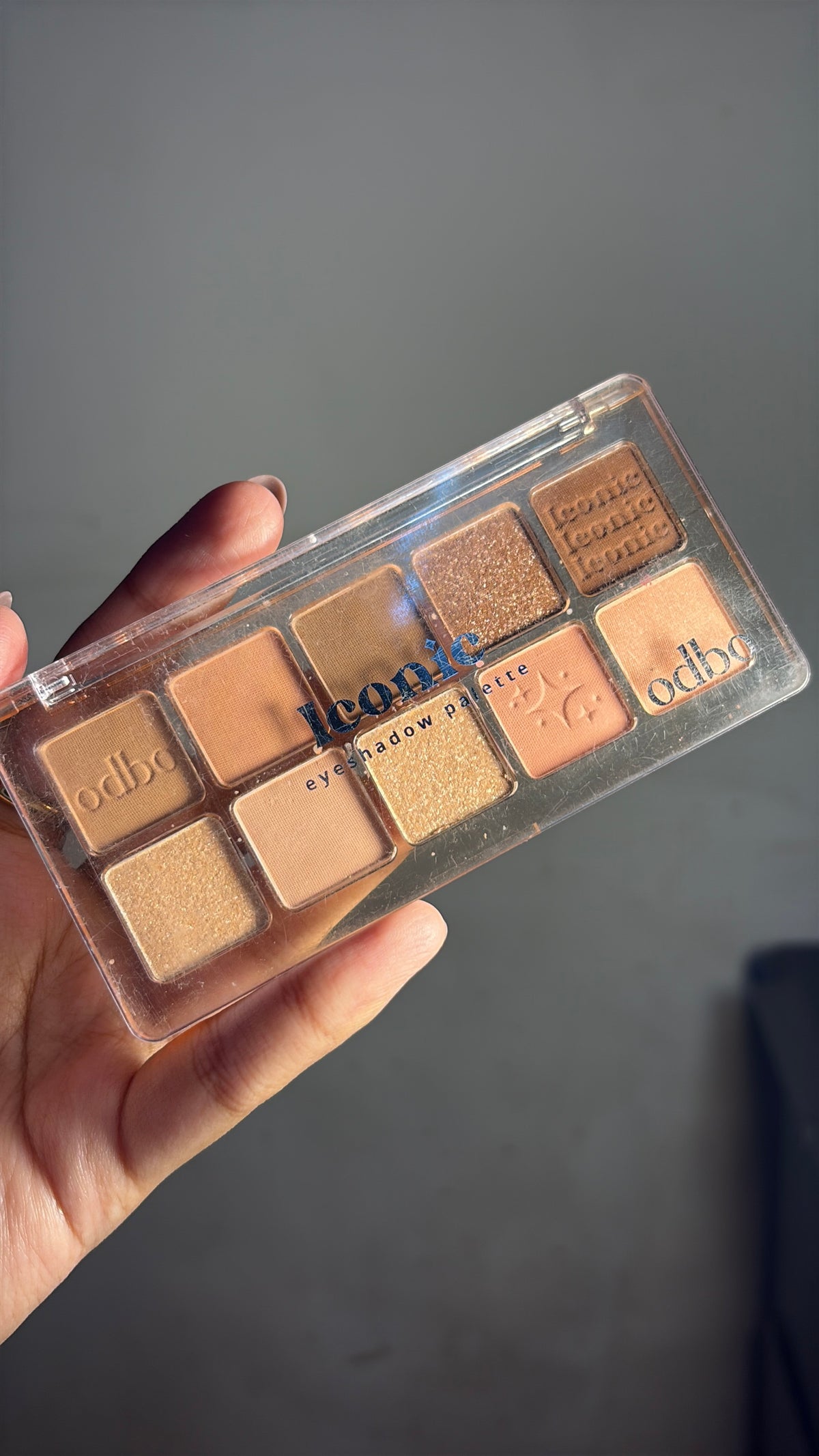 Iconic Nude color Eyeshadow palette