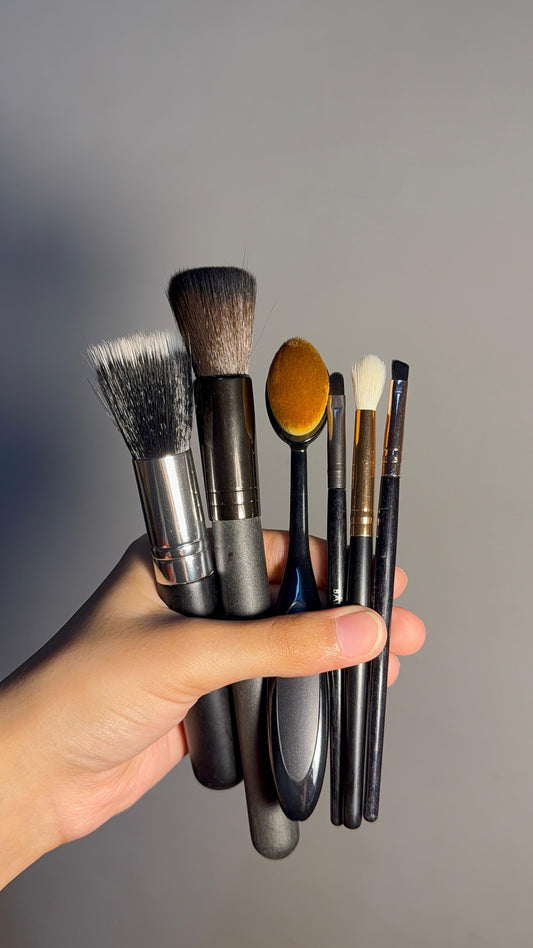 Set of 6 Brushes