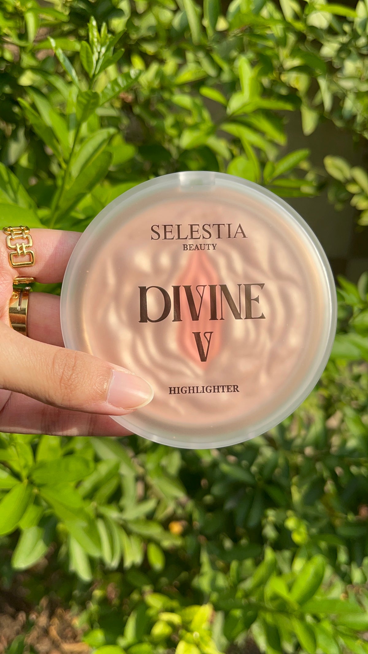 Salestiaa Highlighter