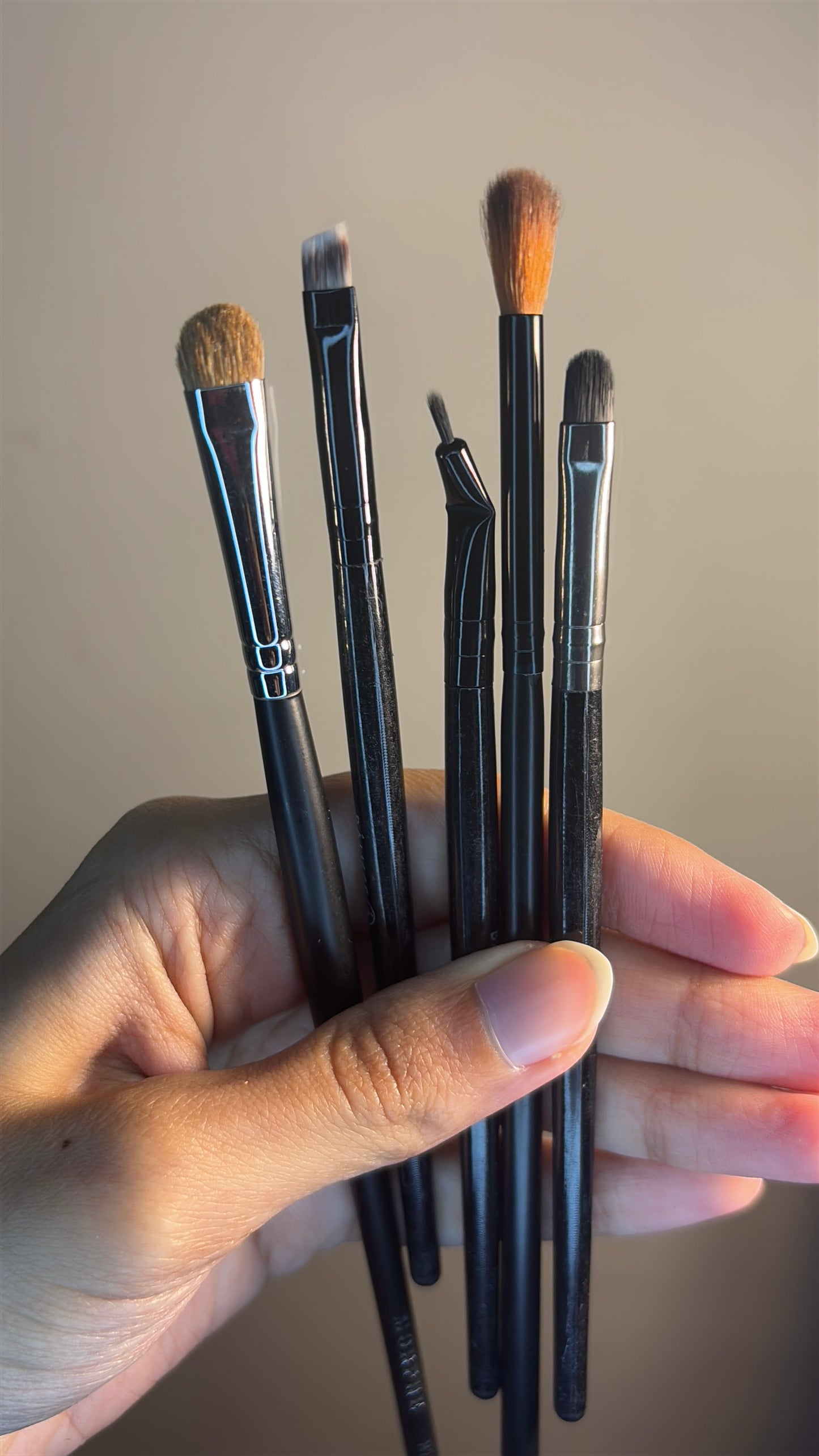Set of 8 Brushes