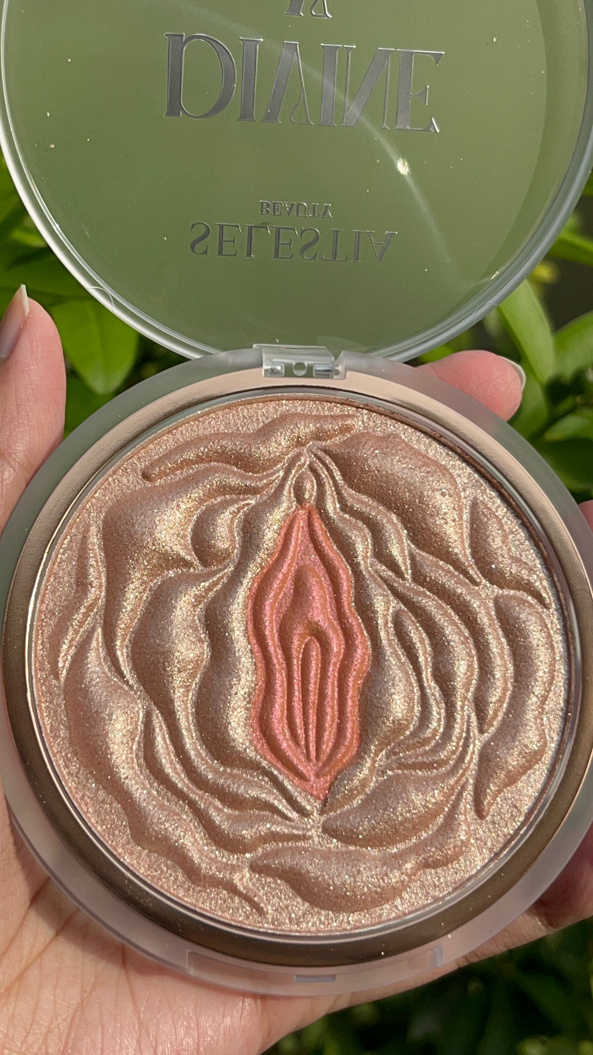 Salestiaa Highlighter