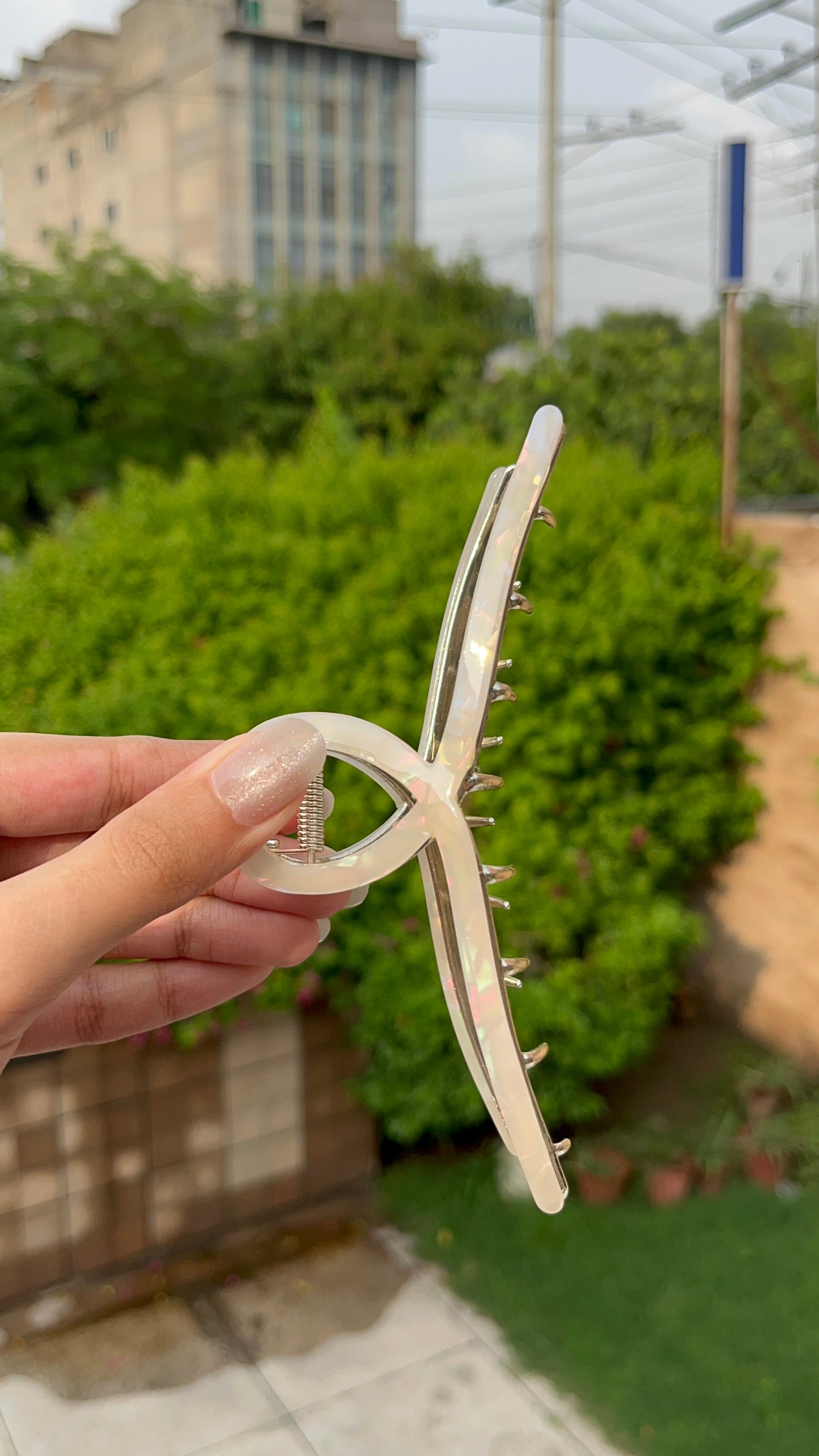 Claw clip