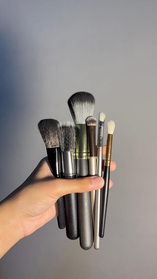Set of 6 Brushes