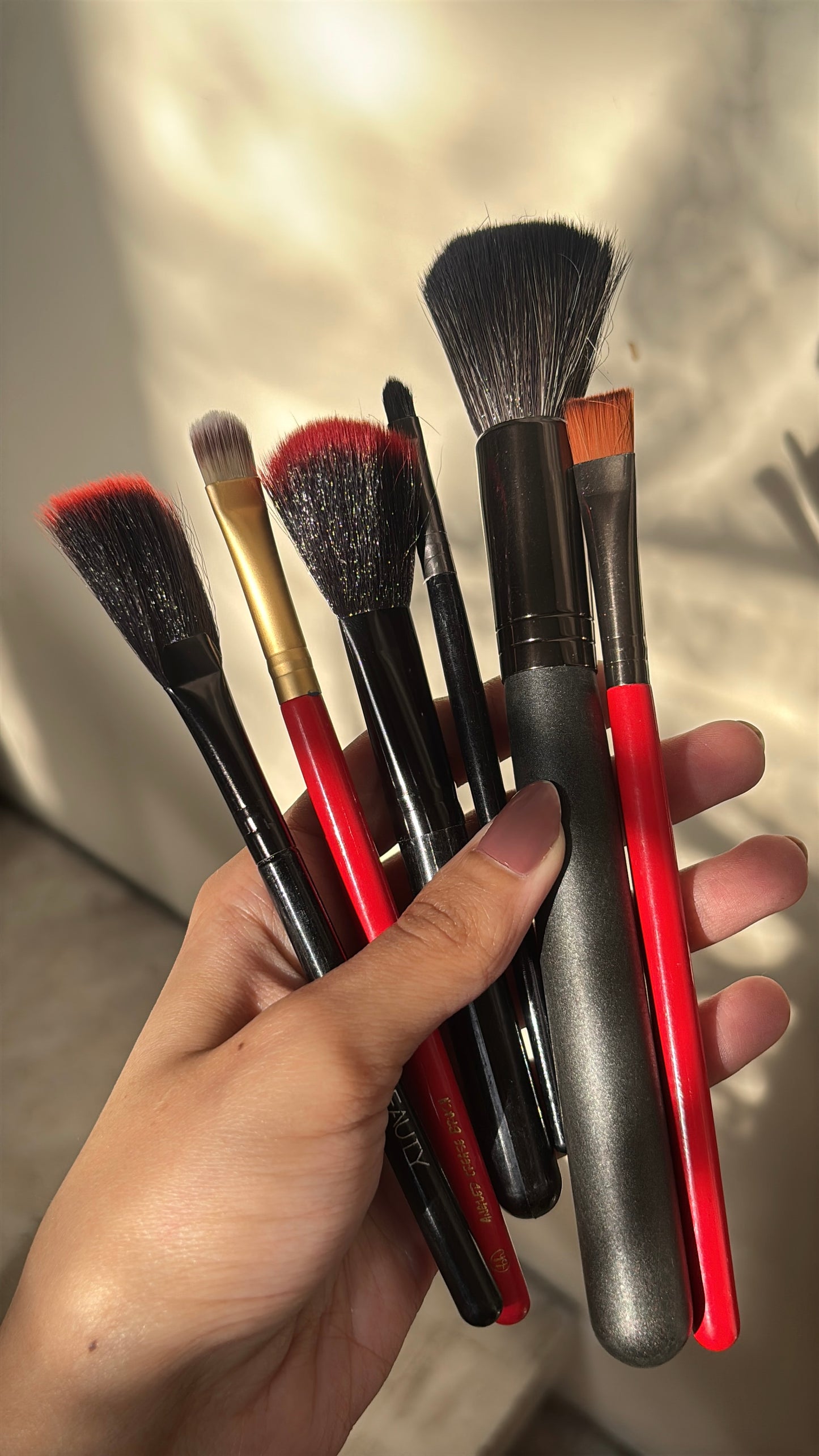 Set of 6 Brushes