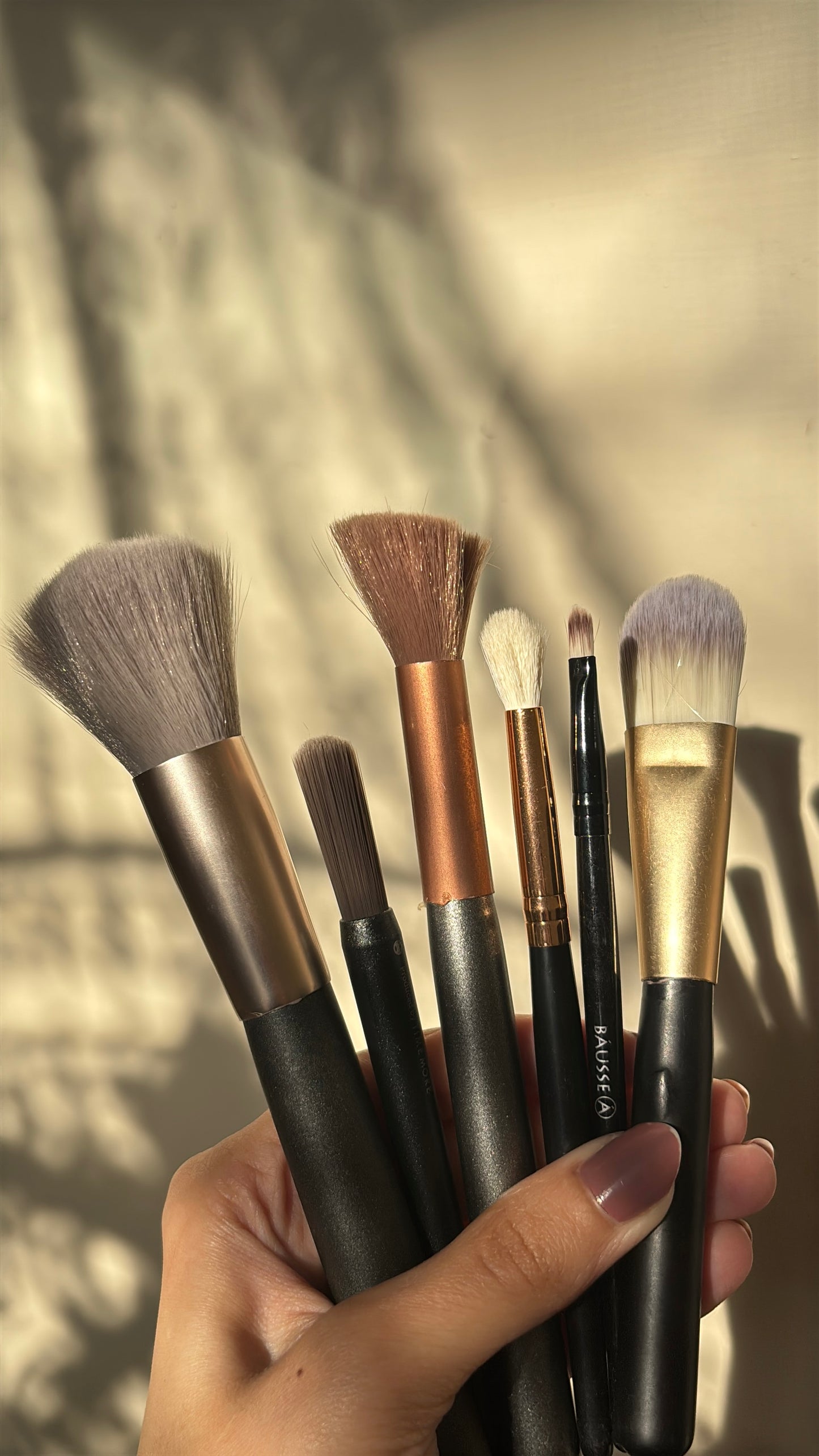 Set of 6 Brushes