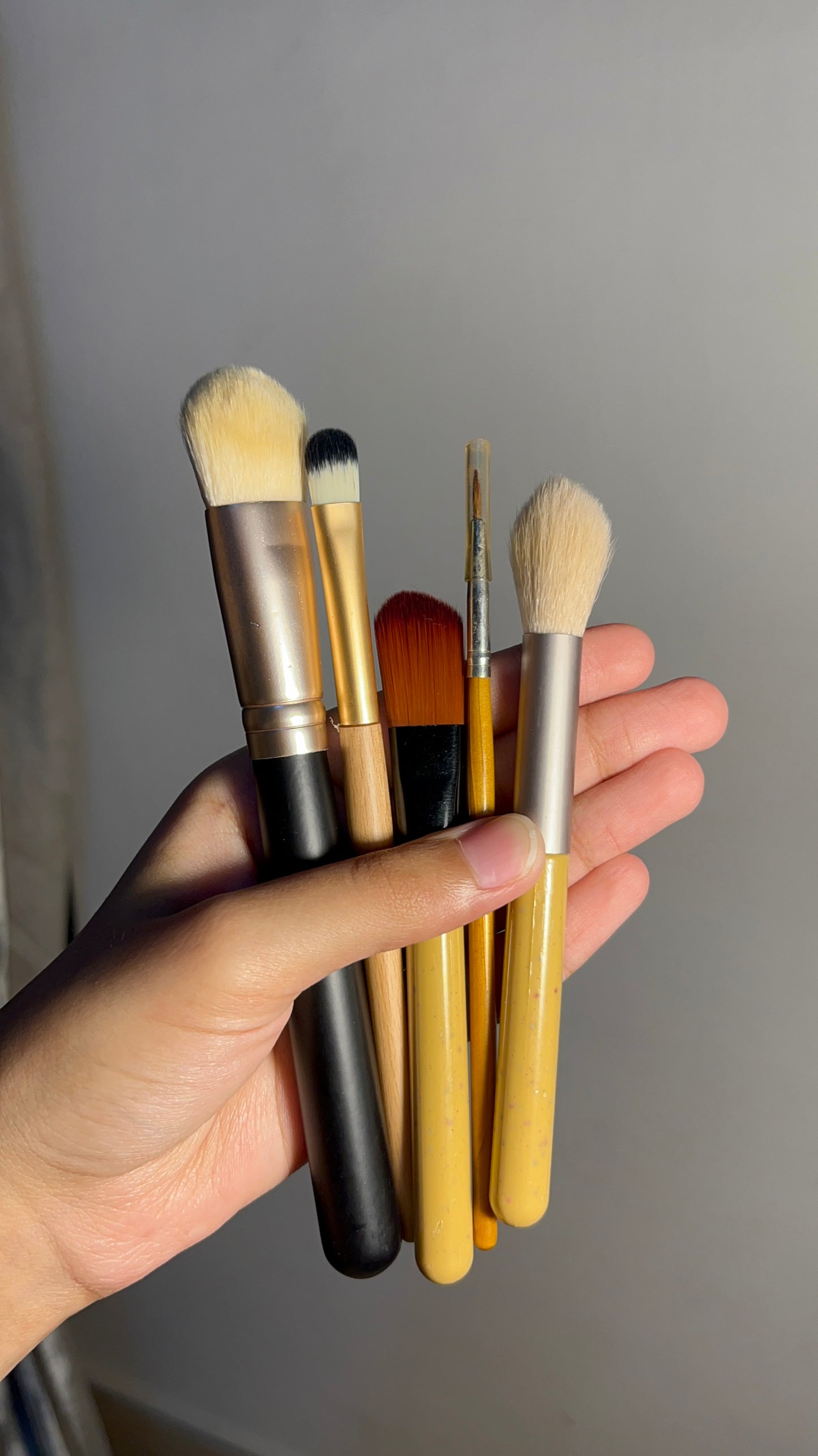 Set of 5 Brushes