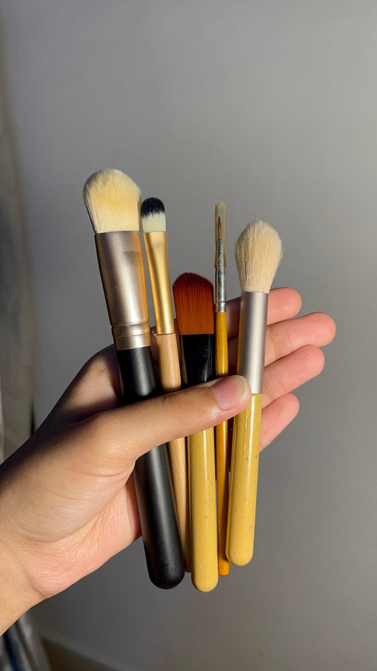 Set of 5 Brushes