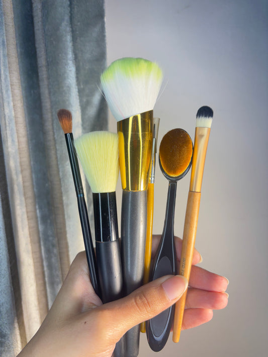 Set of 6 Brushes