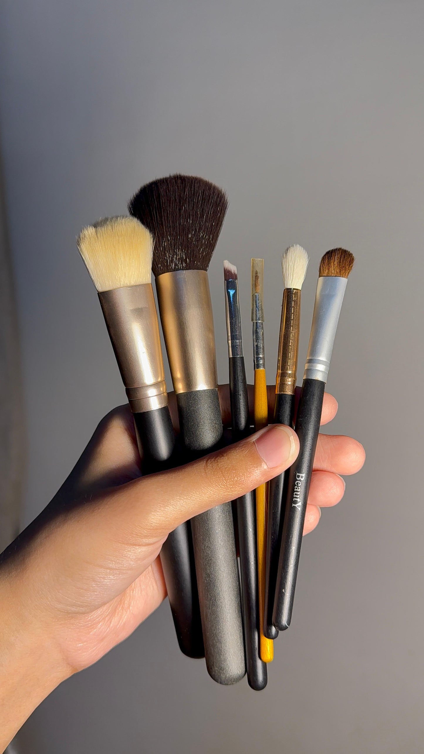 Set of 6 Brushes