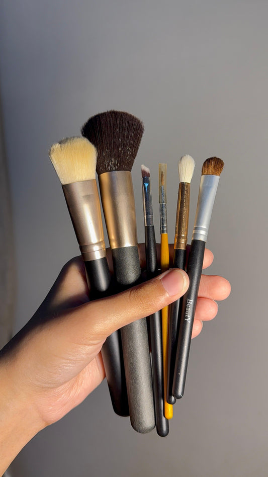Set of 6 Brushes