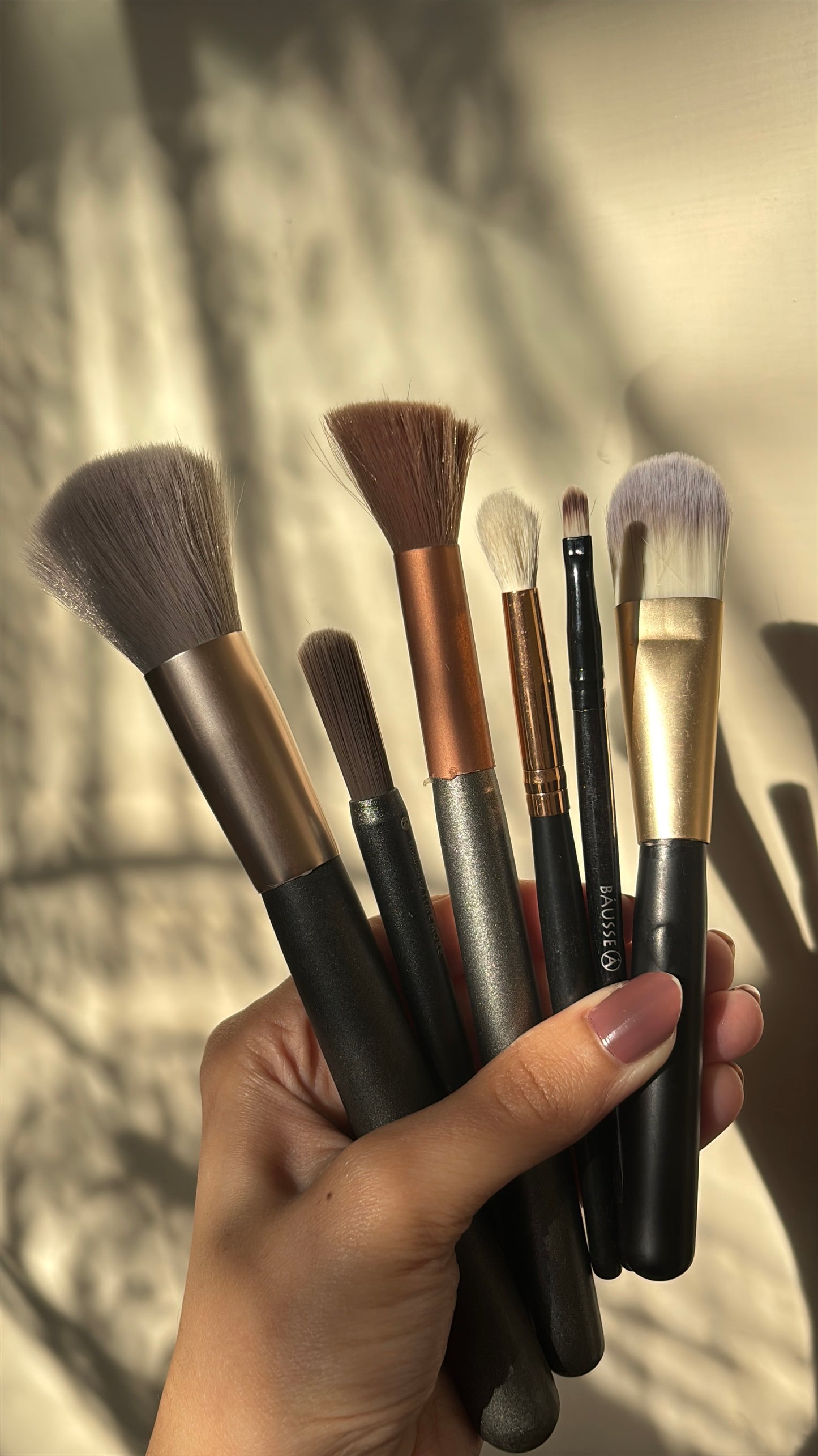 Set of 6 Brushes