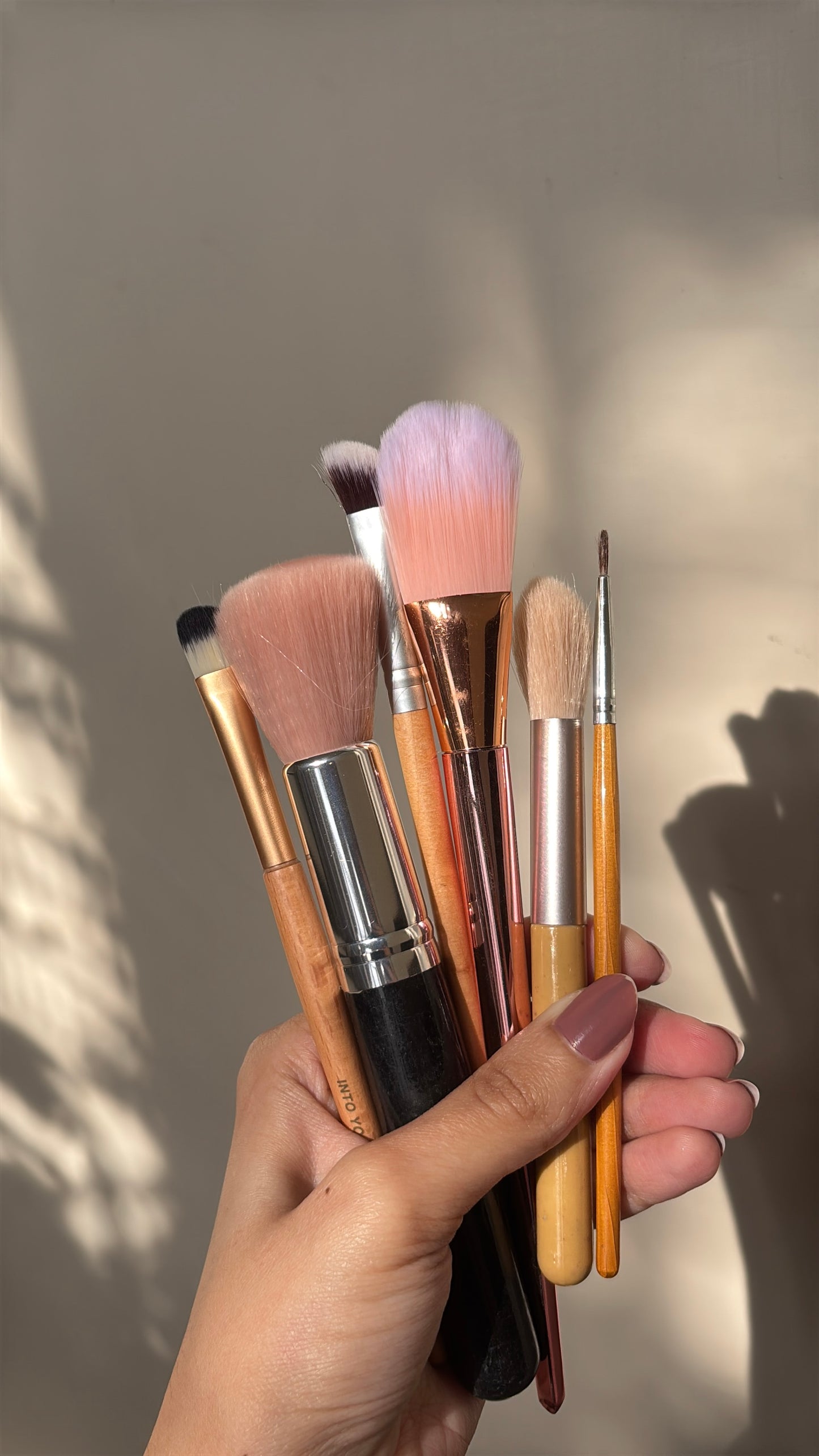 Set of 6 Brushes