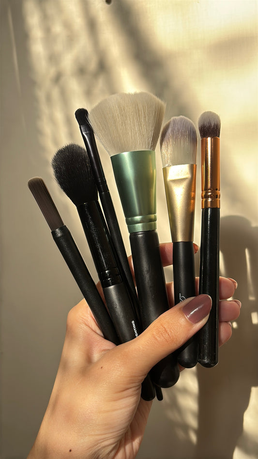 Set of 6 Brushes