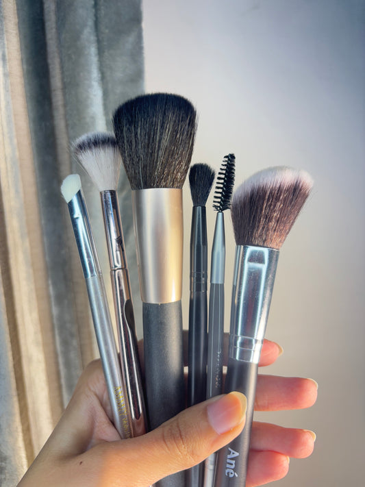 Set of 6 Brushes