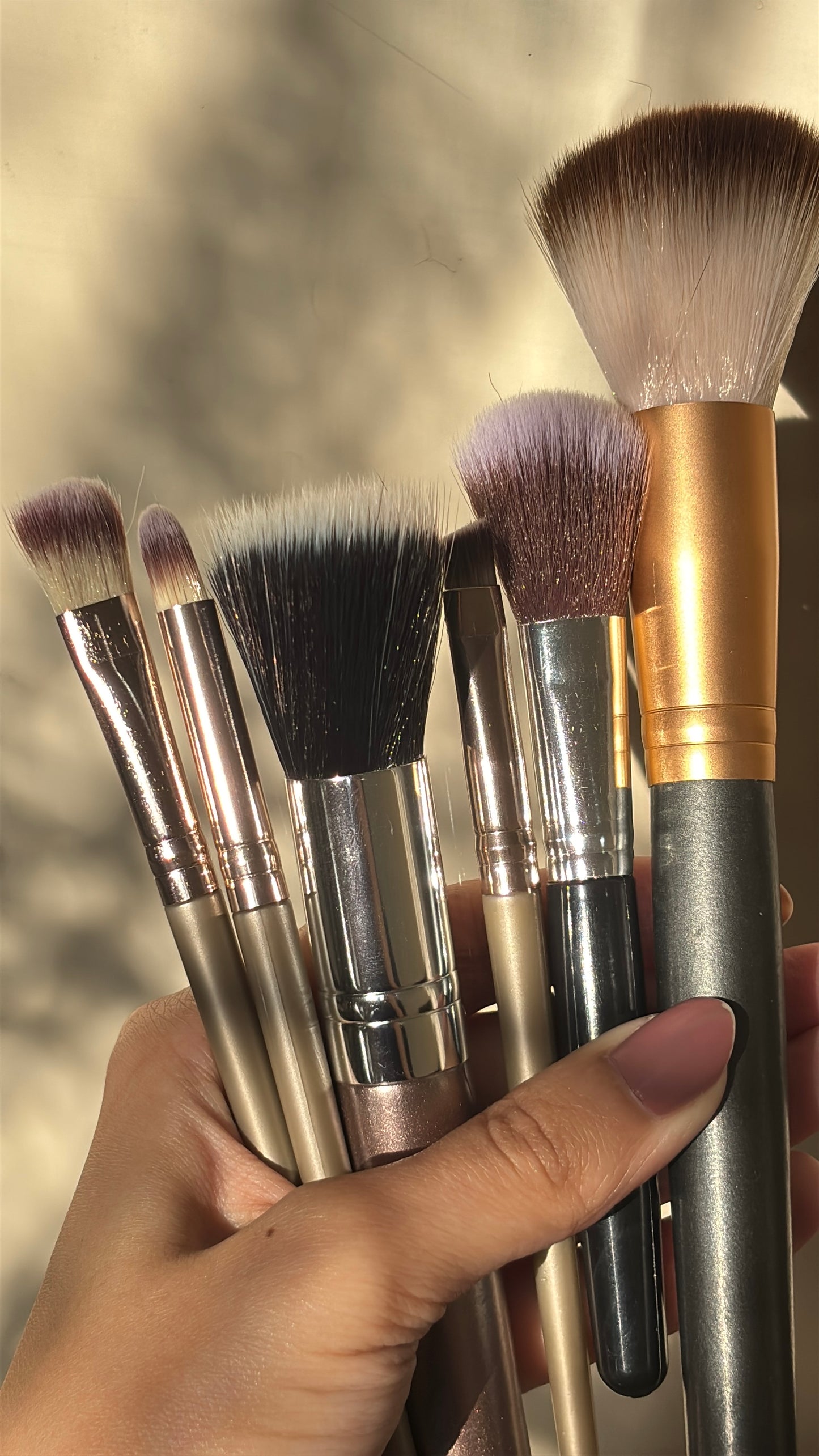 Set of 6 Brushes