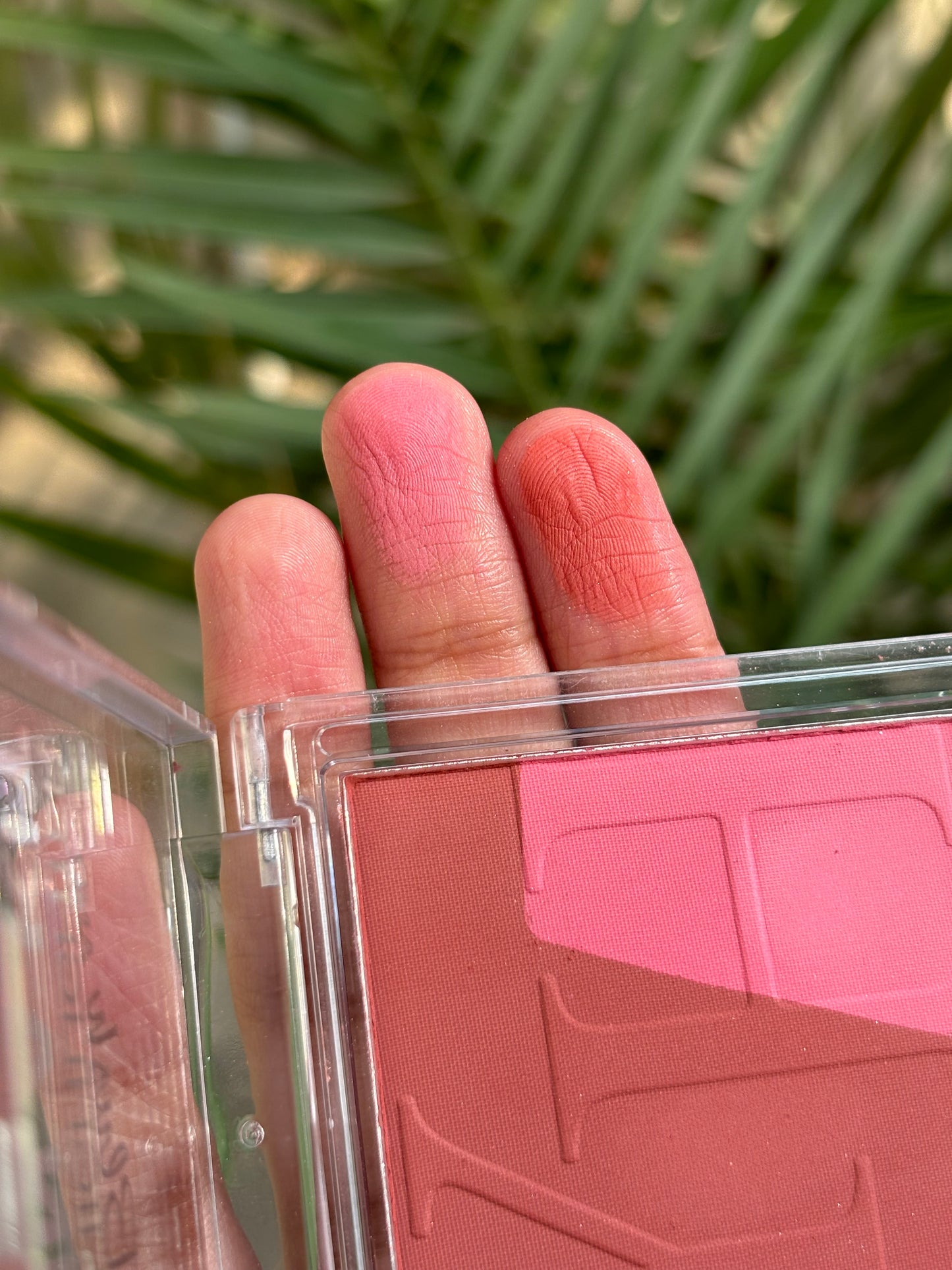 Blush Palette